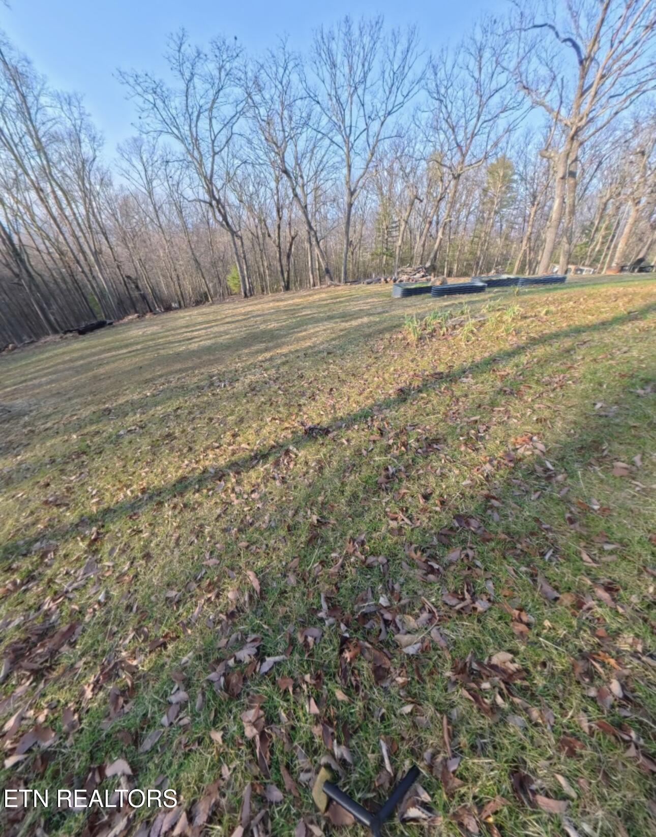 998 Luna Way Parrottsville TN 37843