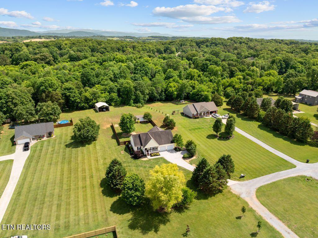 842 Henry Lane Greenback TN 37742