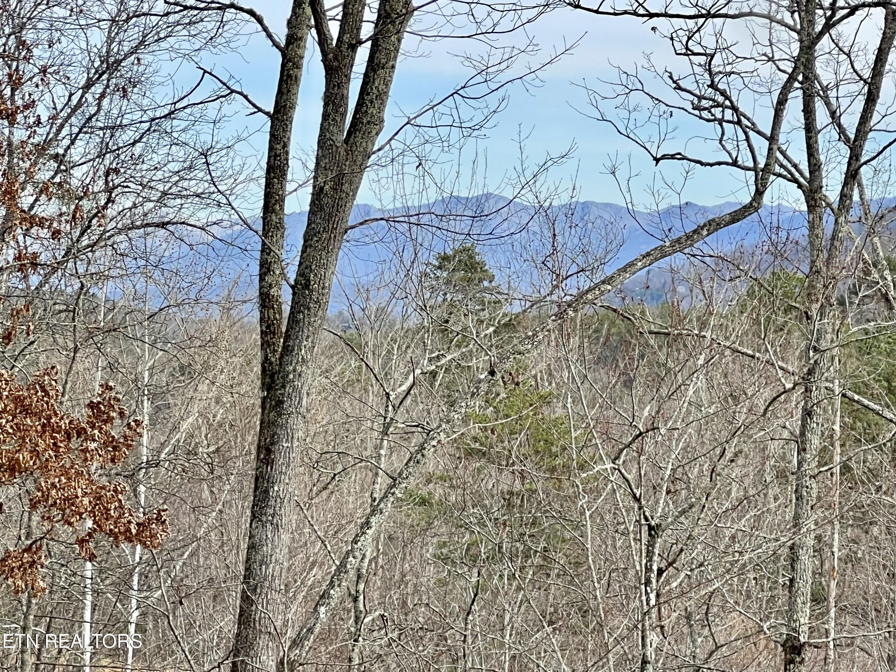 1554 Bear Valley Road Sevierville TN 37876