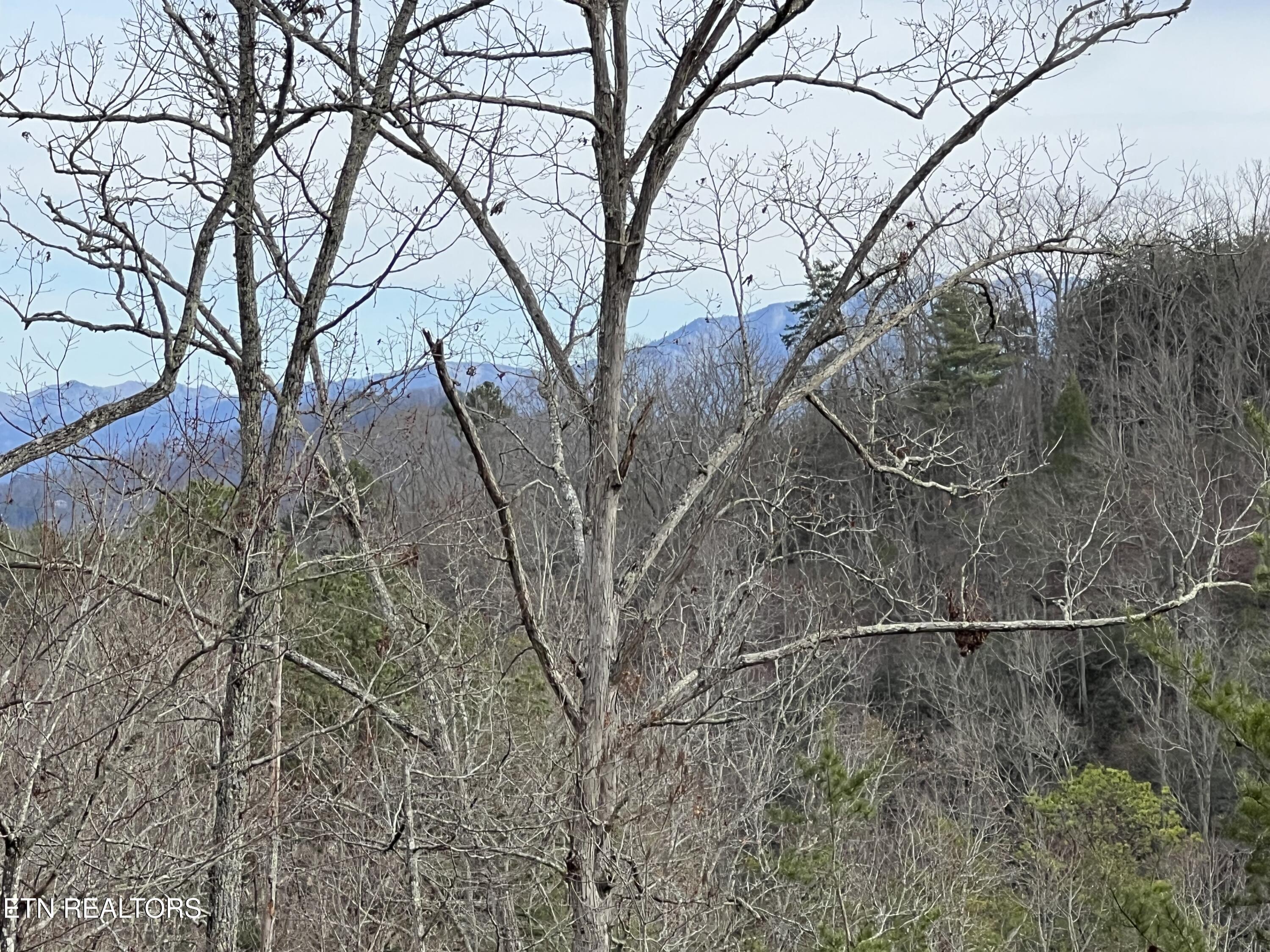 1554 Bear Valley Road Sevierville TN 37876