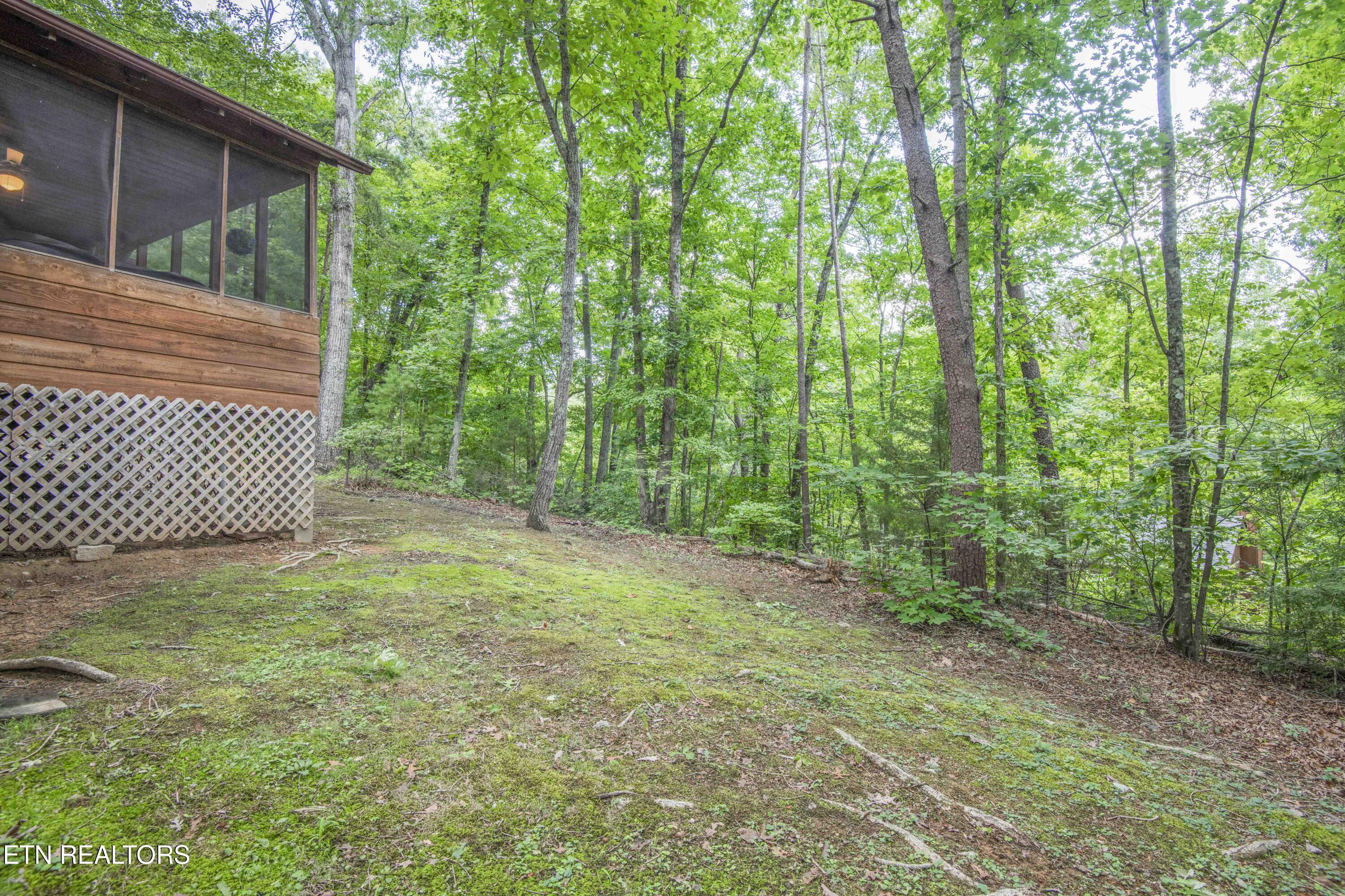 1510 Dawn Lane Sevierville TN 37876