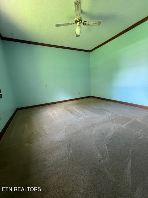 205 Hickory Lane Jacksboro TN 37757