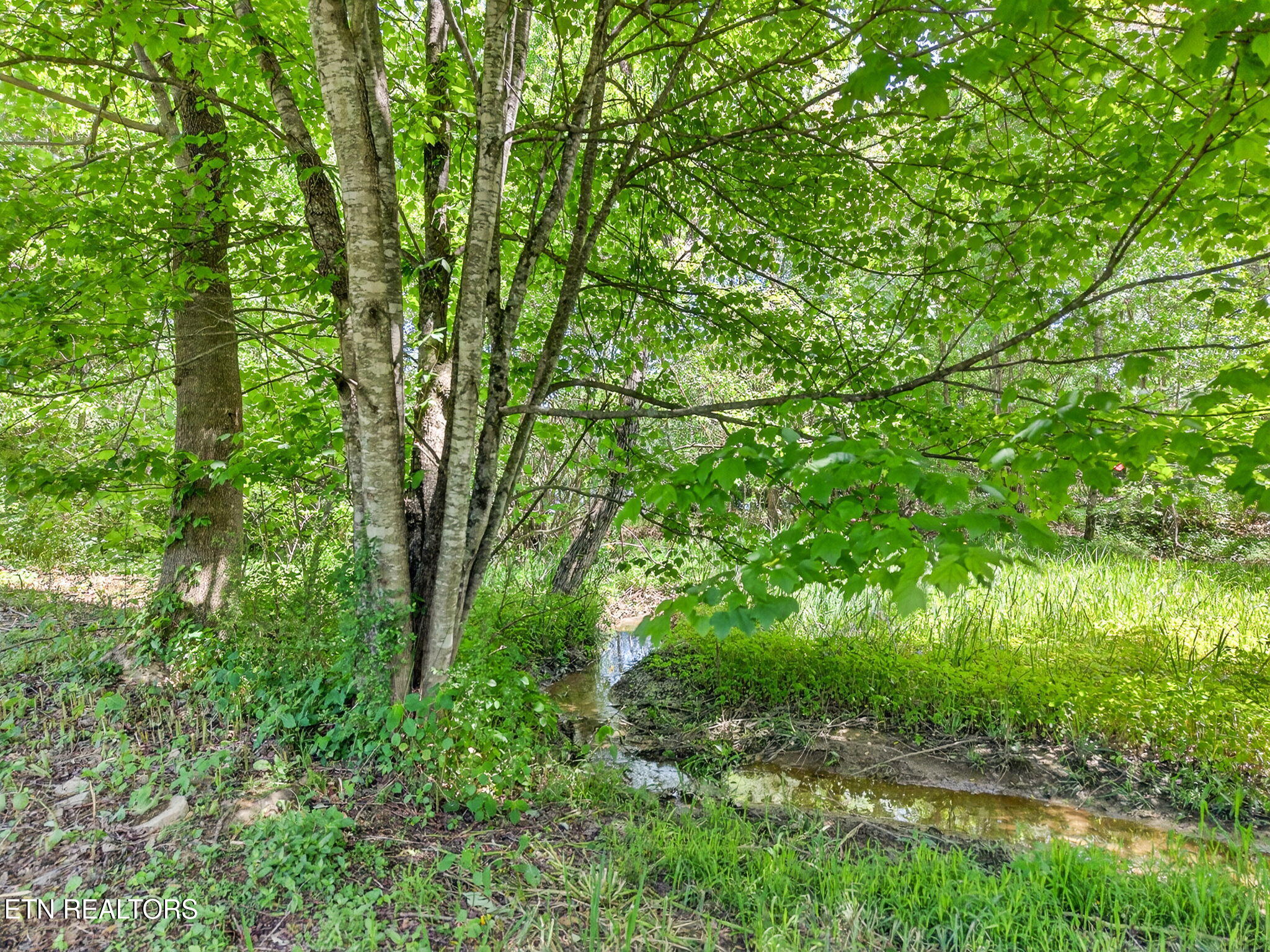 136 Hood Drive Crossville TN 38555