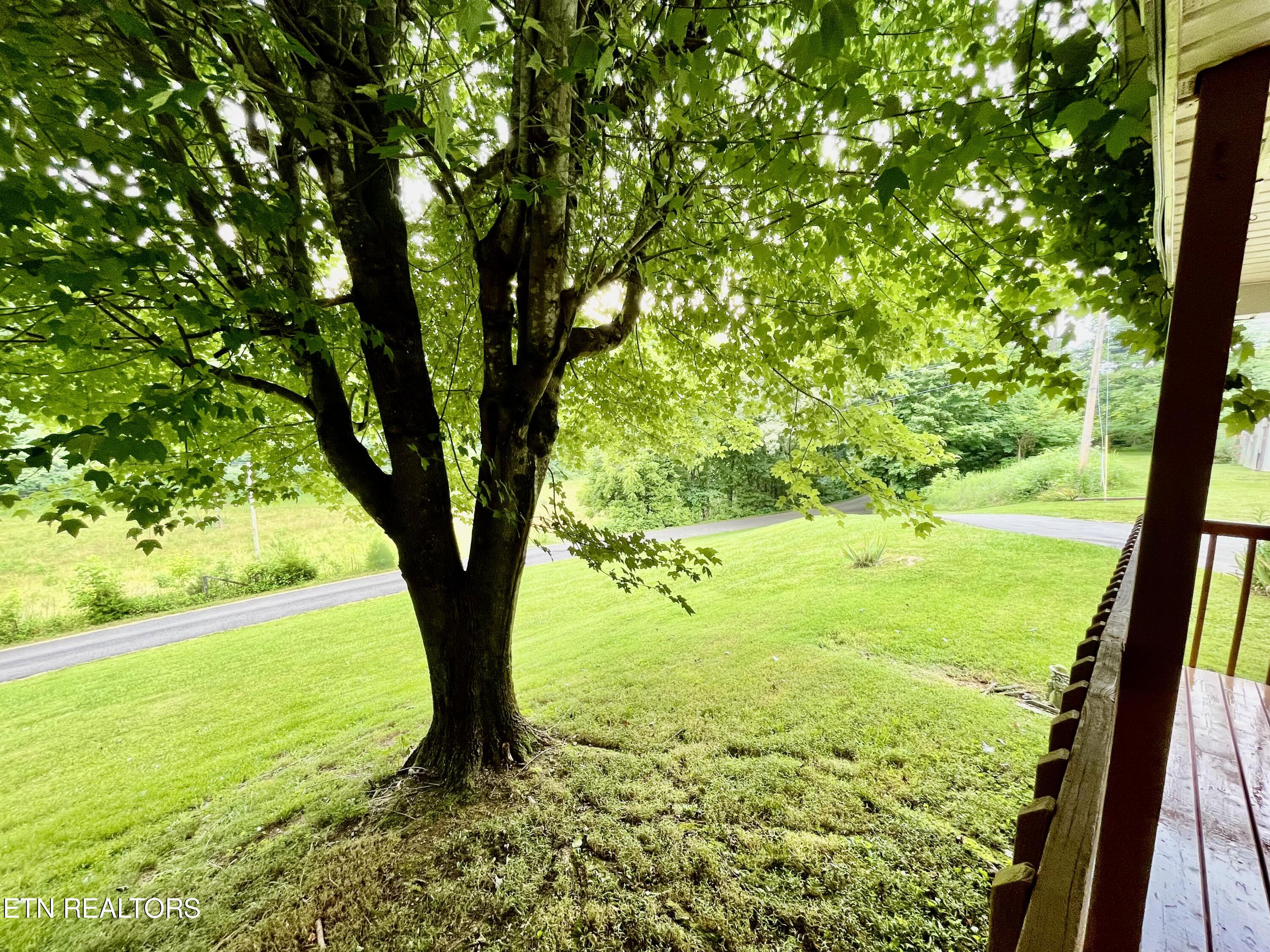 3967 New Corinth Road Blaine TN 37709