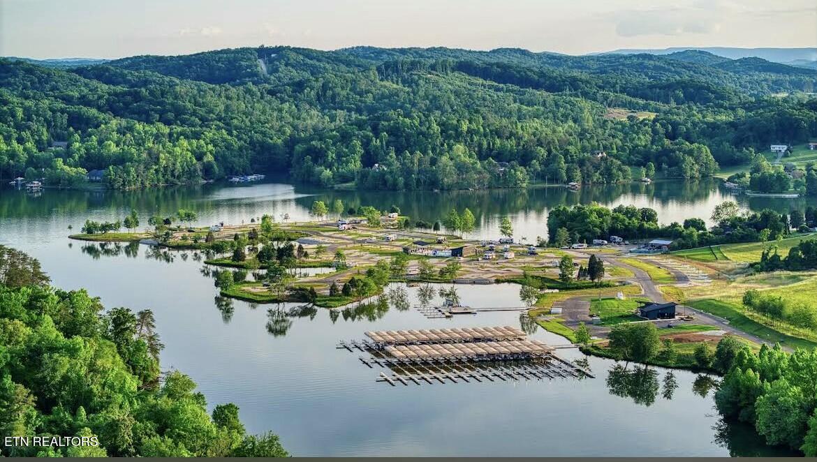 535 Ables Valley Road Rockwood TN 37854