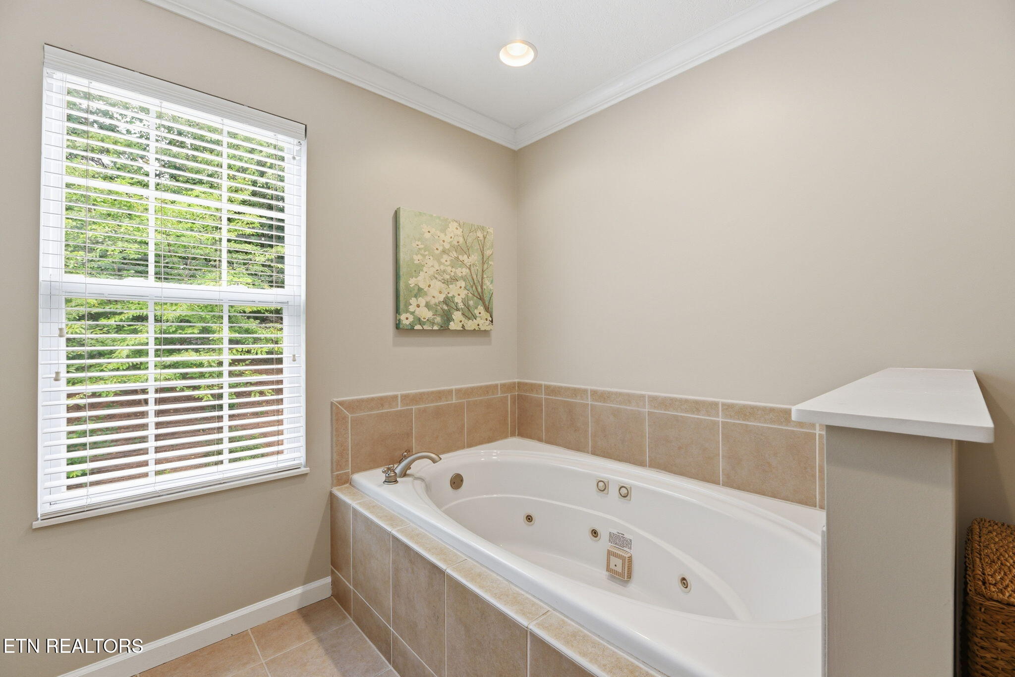 609 Spring Branch Lane Knoxville TN 37934