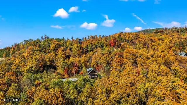 719 Upper Windsor Way Gatlinburg TN 37738