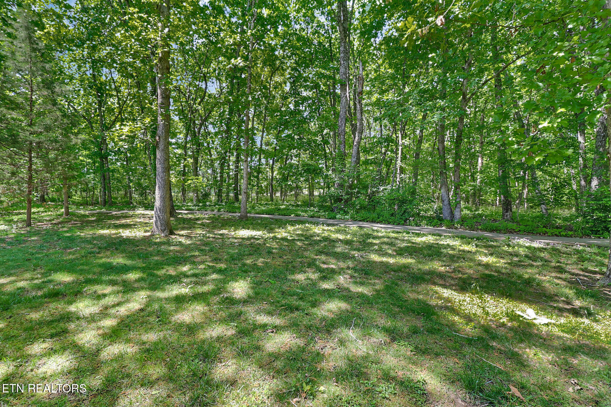 120 Cromwell Lane Fairfield Glade TN 38558