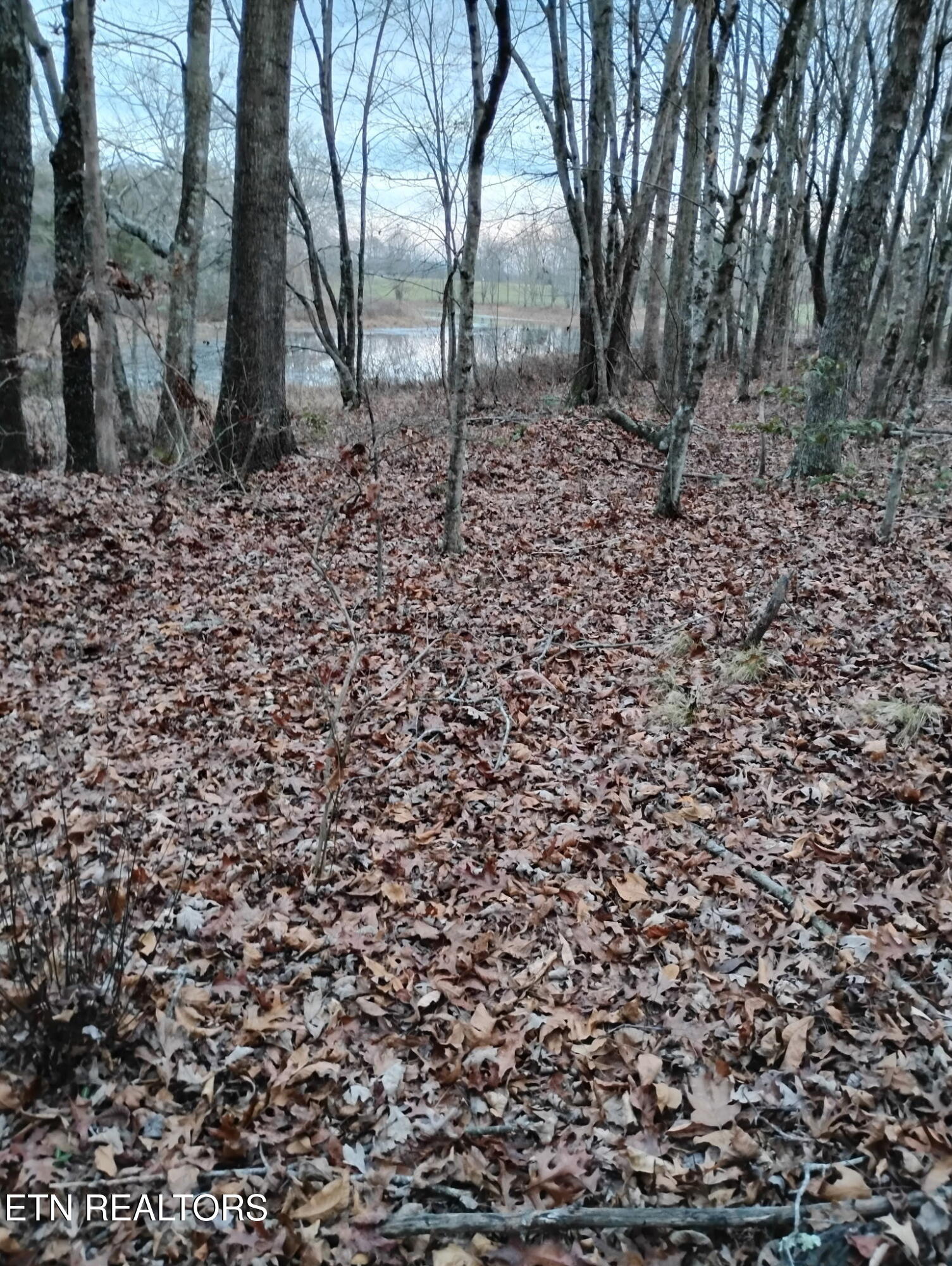 341 Dwyer Drive Crossville TN 38572
