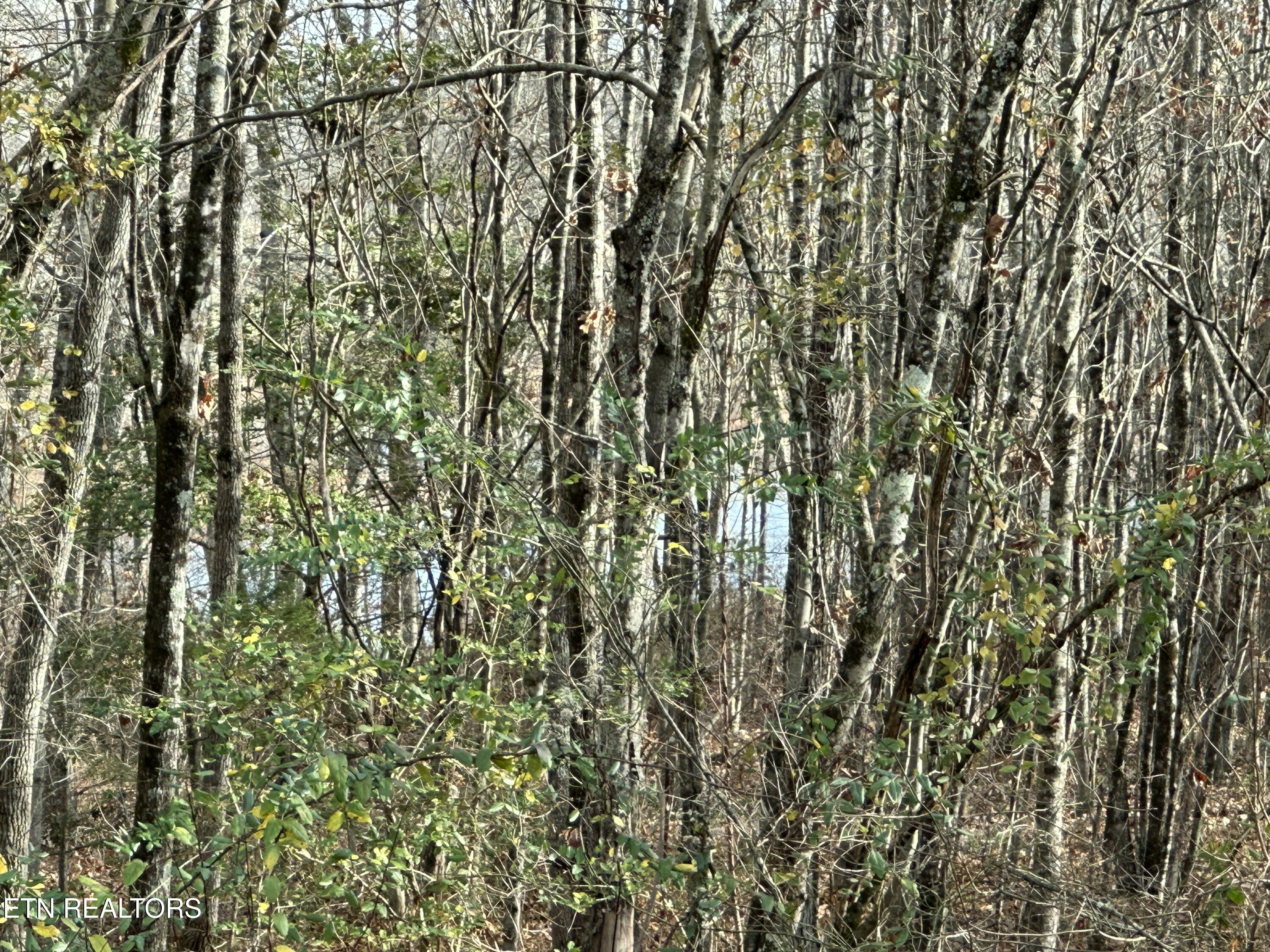341 Dwyer Drive Crossville TN 38572