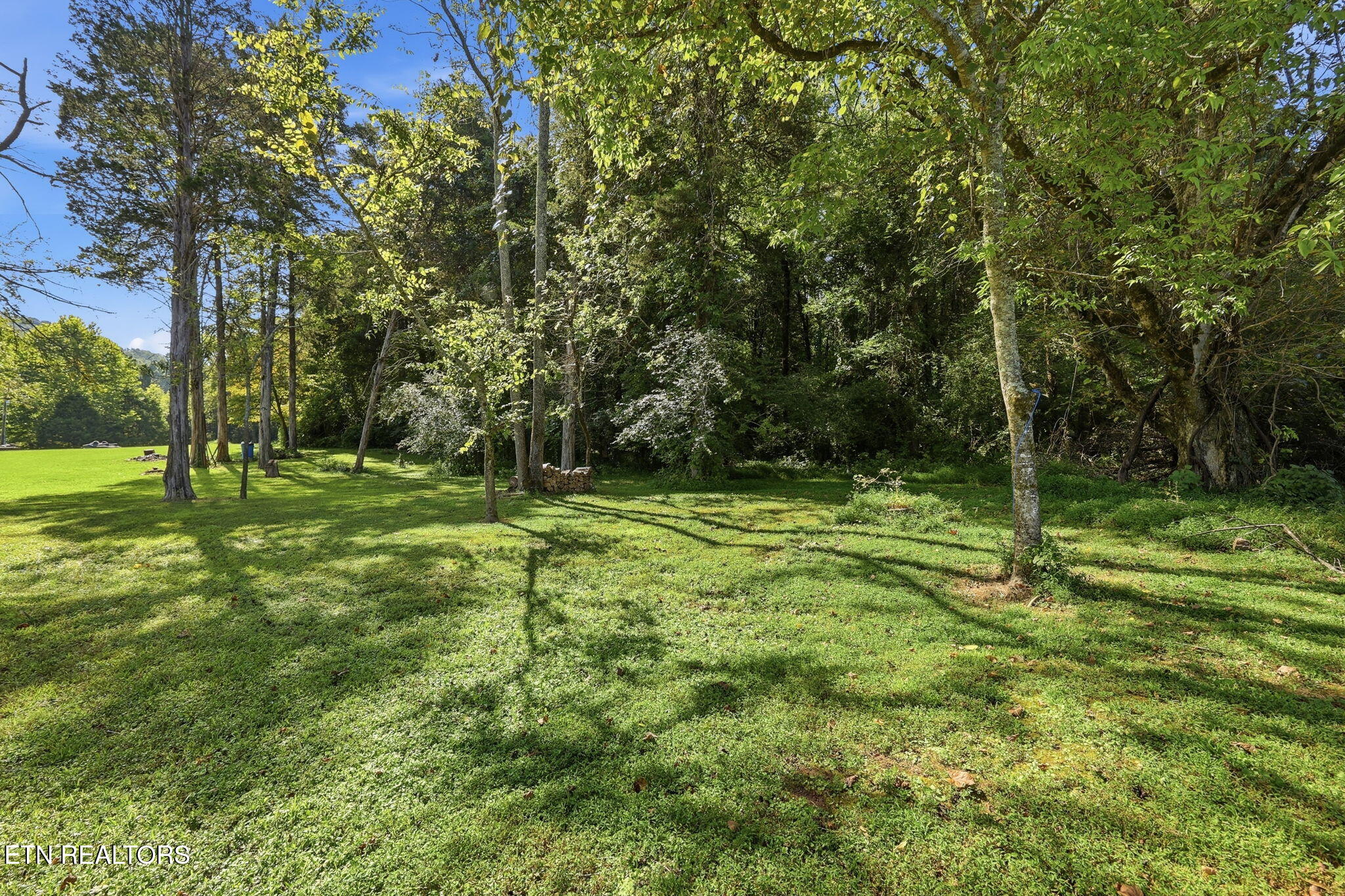 142 Lakeview Lane Andersonville TN 37705