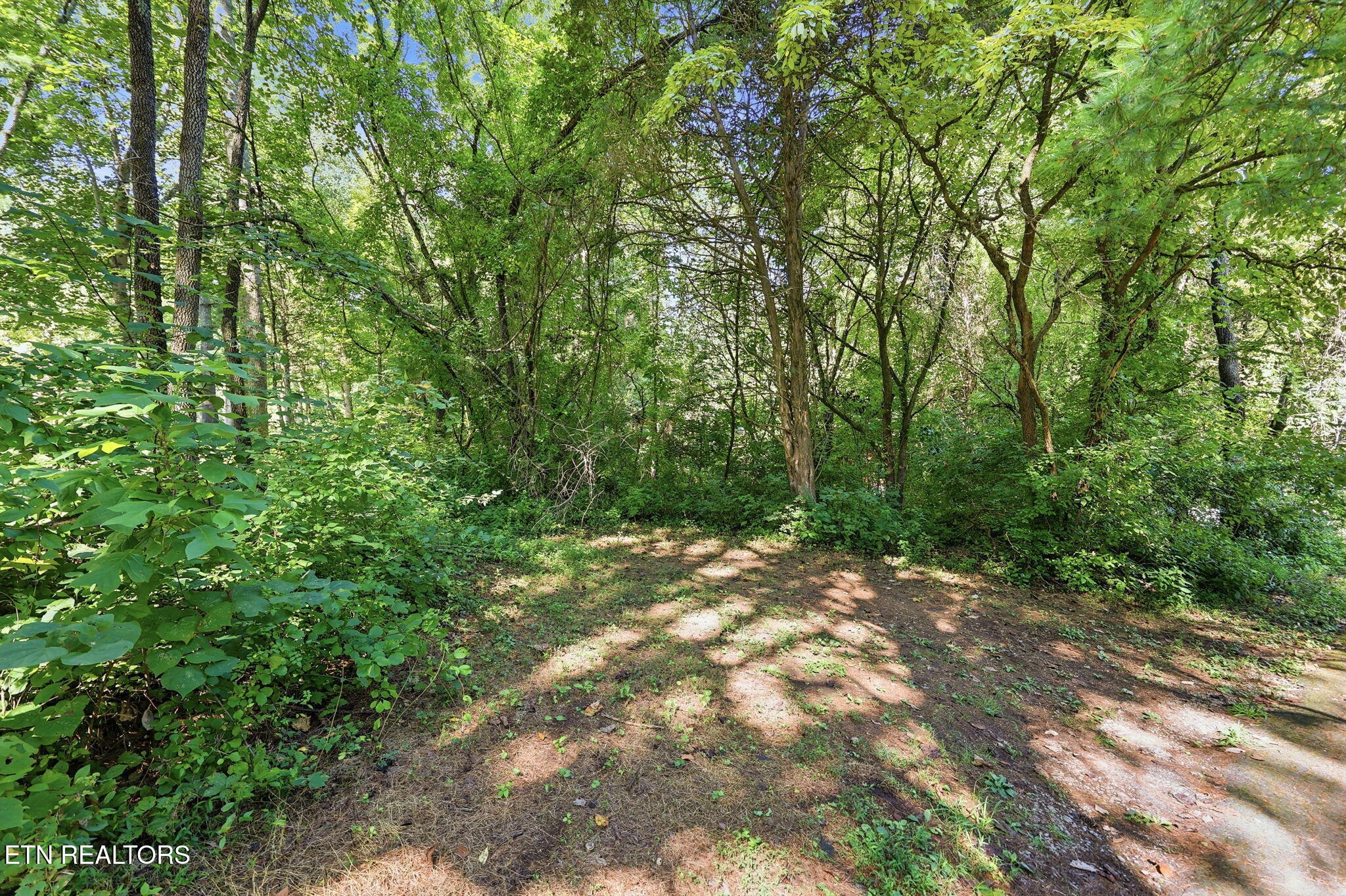 142 Lakeview Lane Andersonville TN 37705