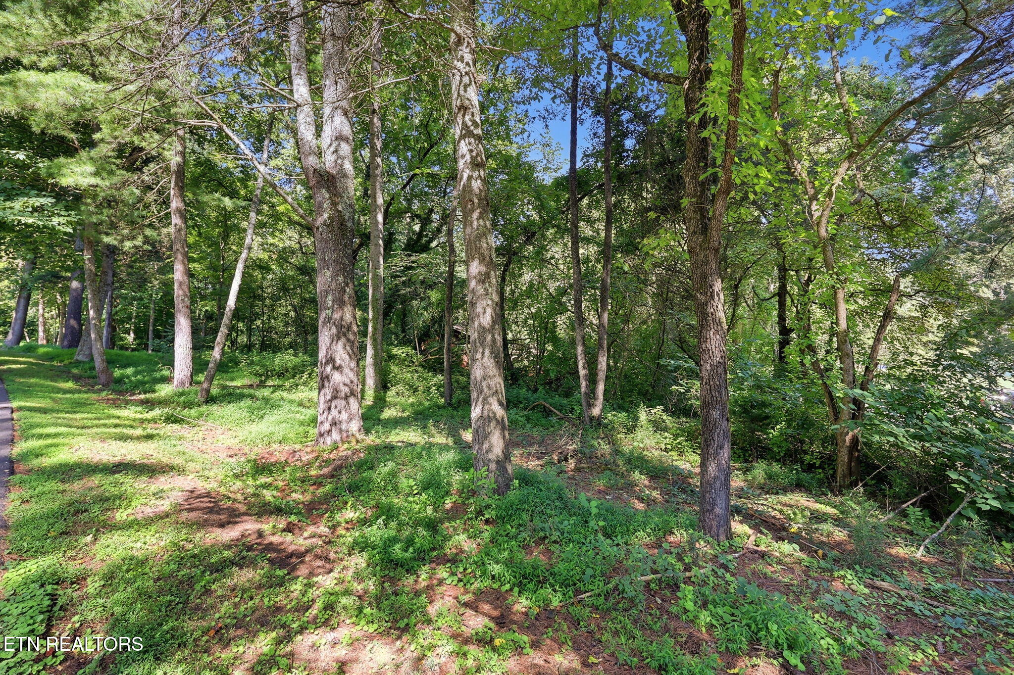 142 Lakeview Lane Andersonville TN 37705