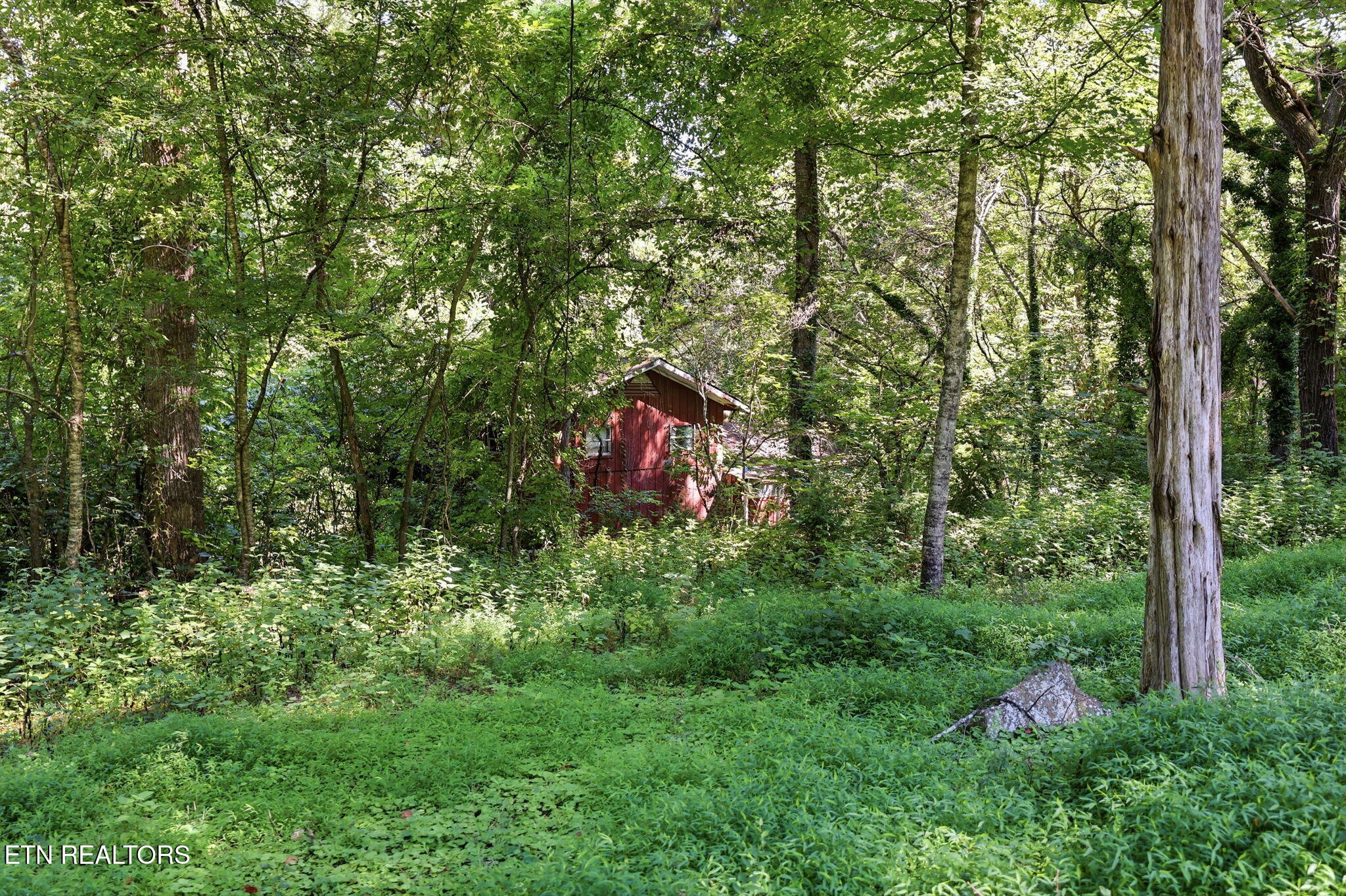 142 Lakeview Lane Andersonville TN 37705