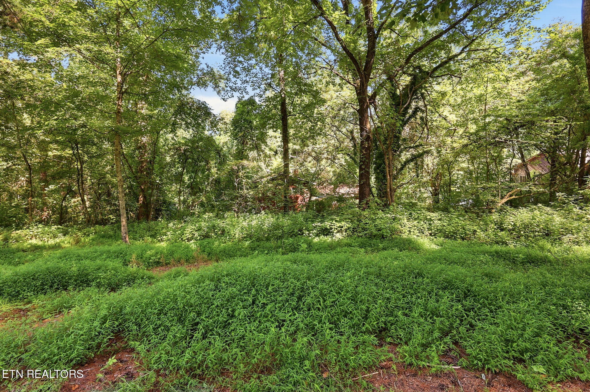 142 Lakeview Lane Andersonville TN 37705