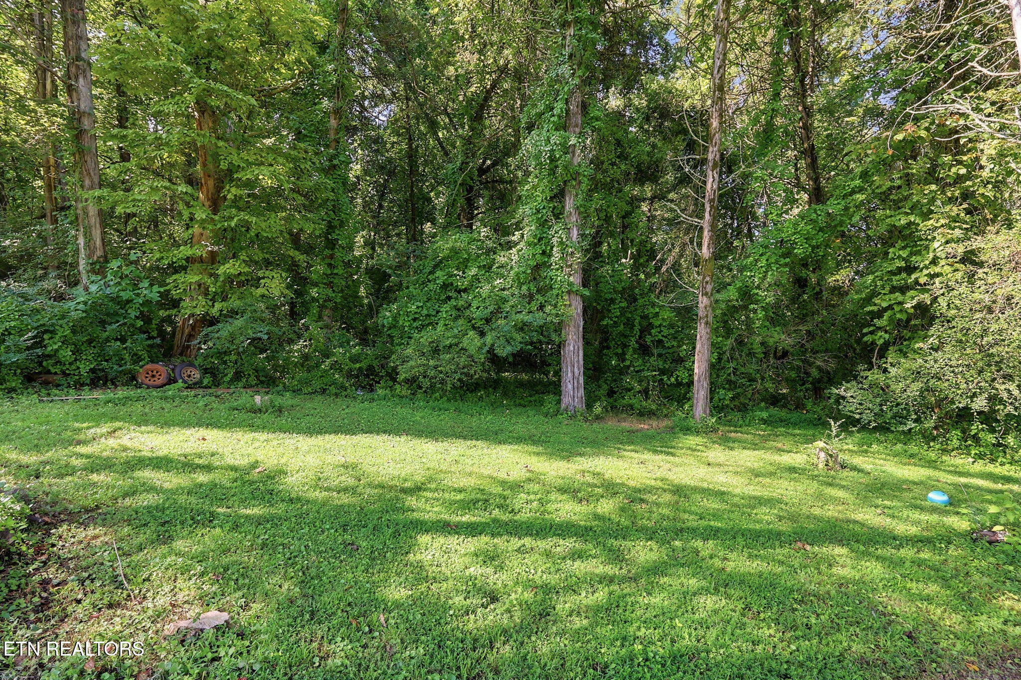 142 Lakeview Lane Andersonville TN 37705