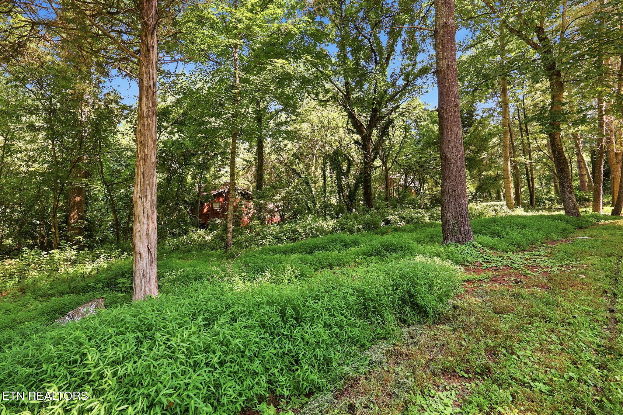 142 Lakeview Lane Andersonville TN 37705