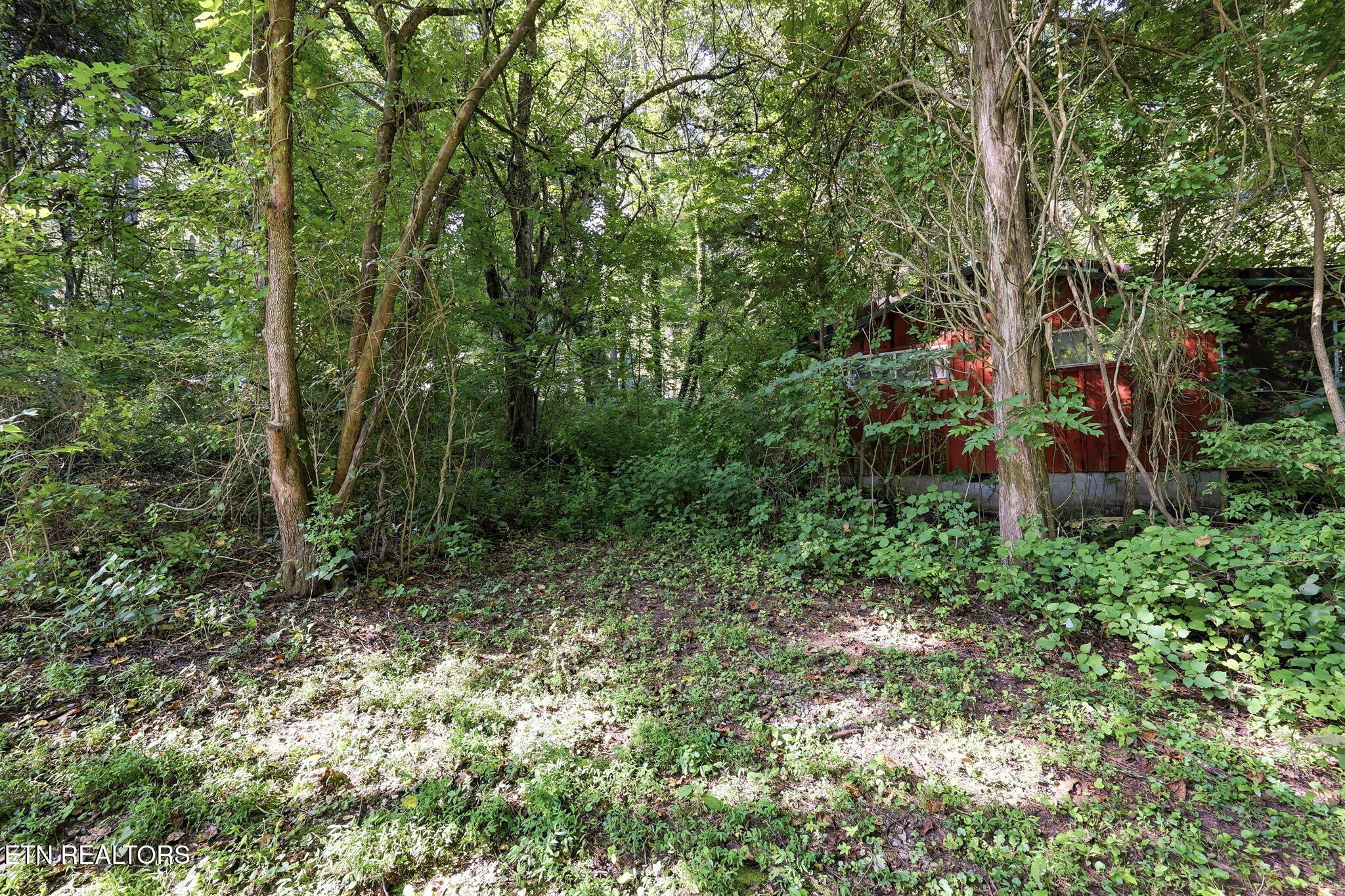 142 Lakeview Lane Andersonville TN 37705