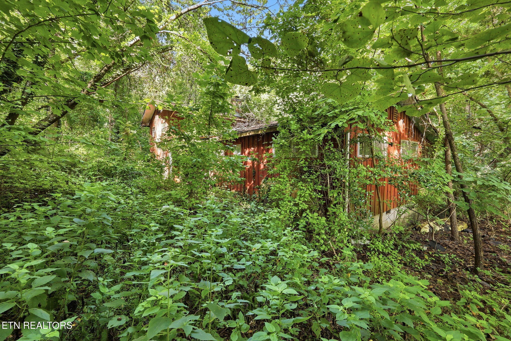 142 Lakeview Lane Andersonville TN 37705