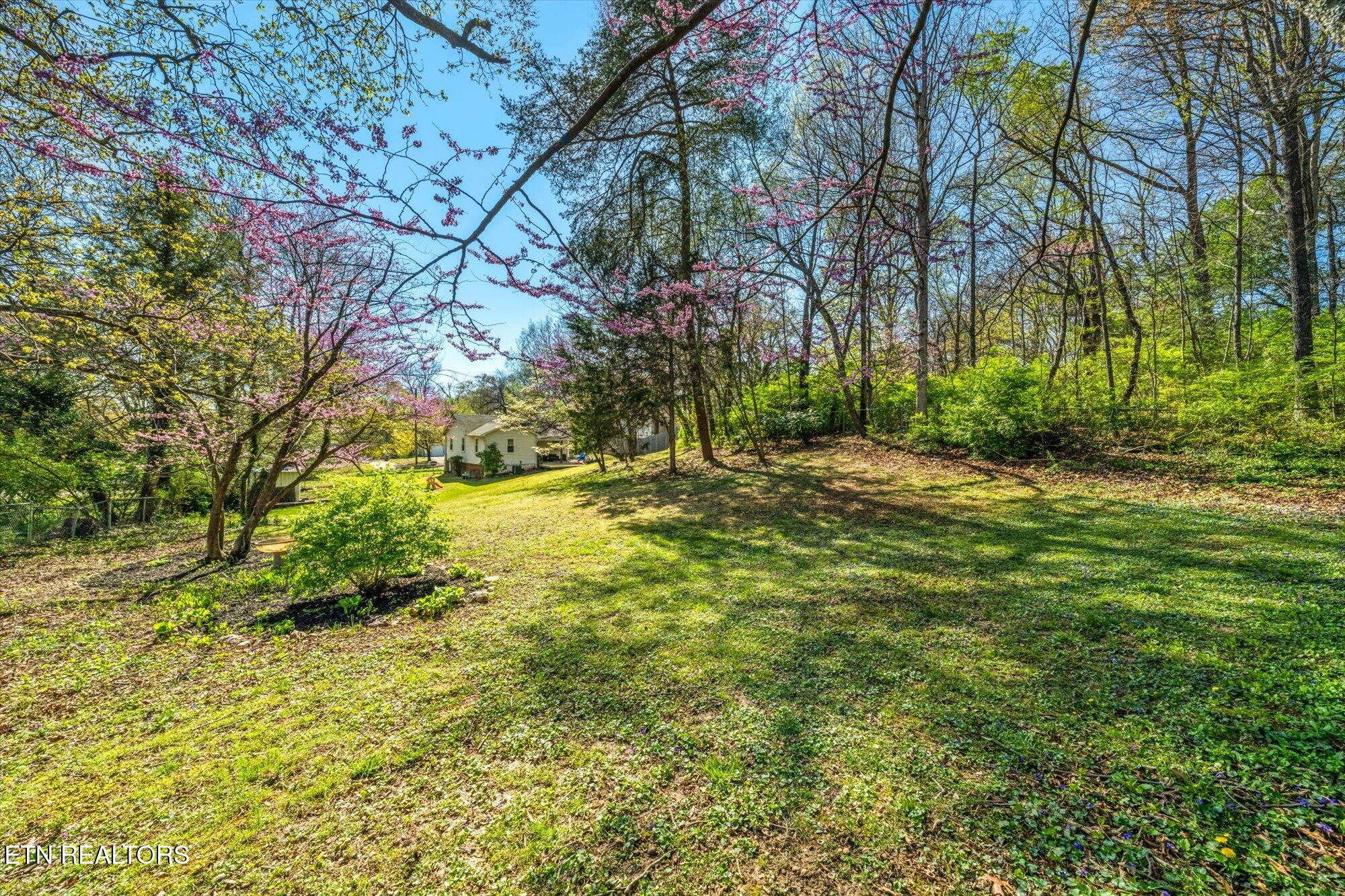 6010 Oak Road Knoxville TN 37912