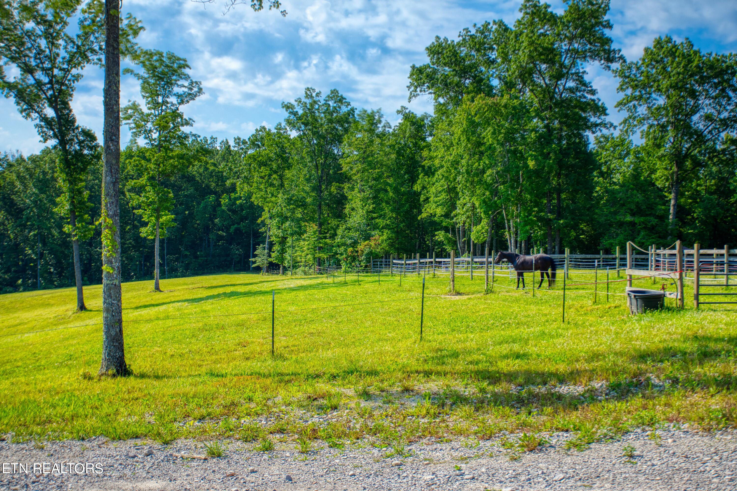 1240 Louvaine Road Jamestown TN 38556