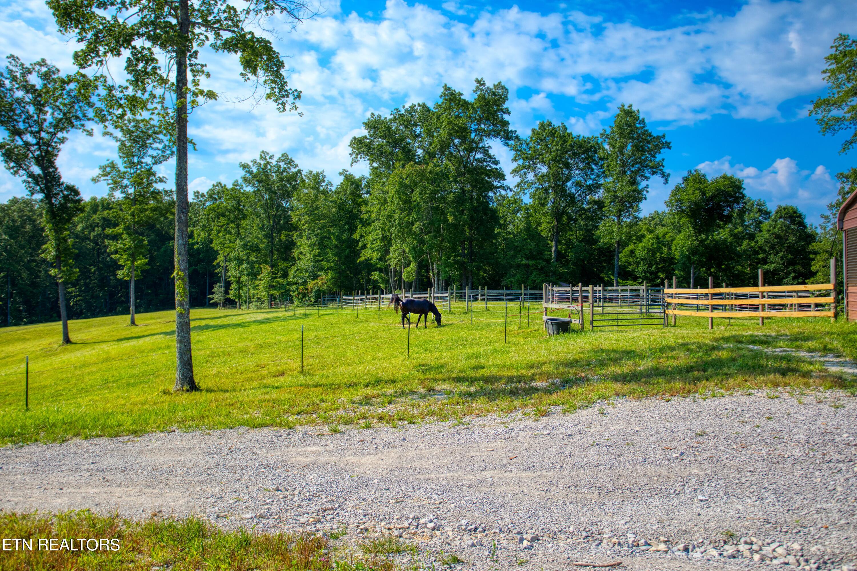 1240 Louvaine Road Jamestown TN 38556