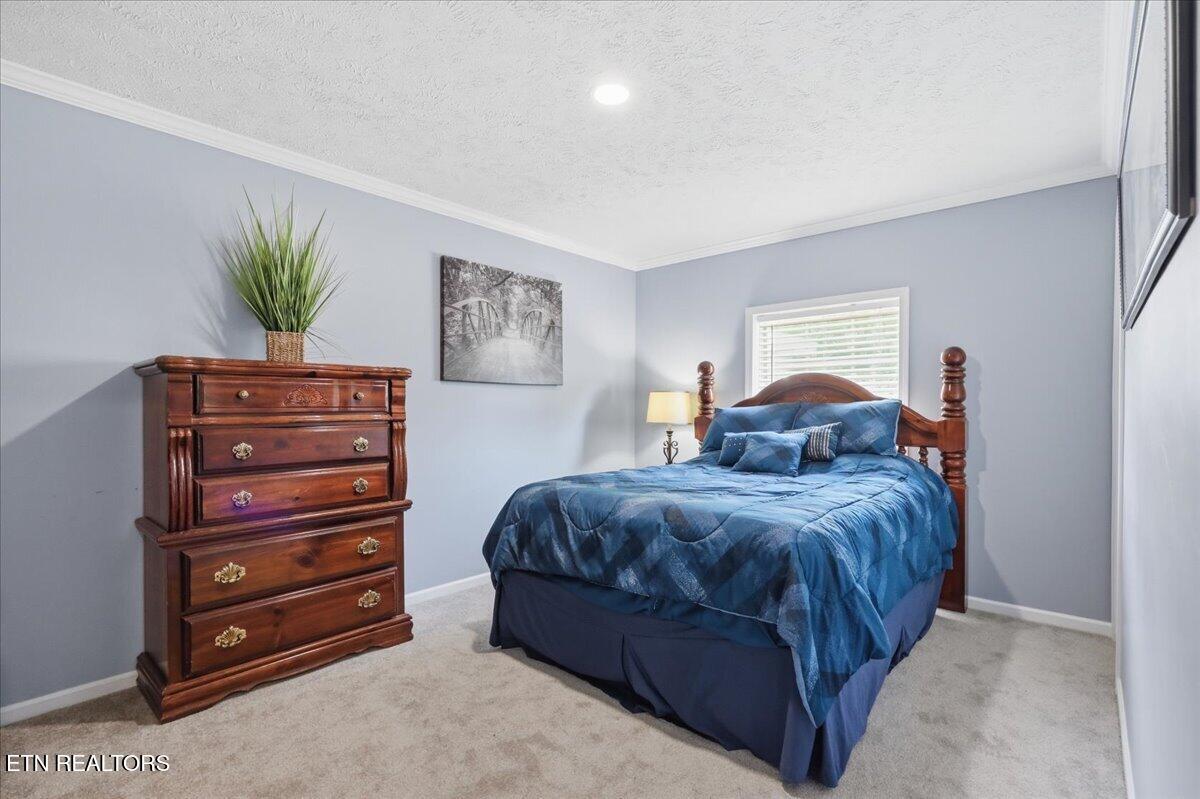 319 Tucker Road Seymour TN 37865