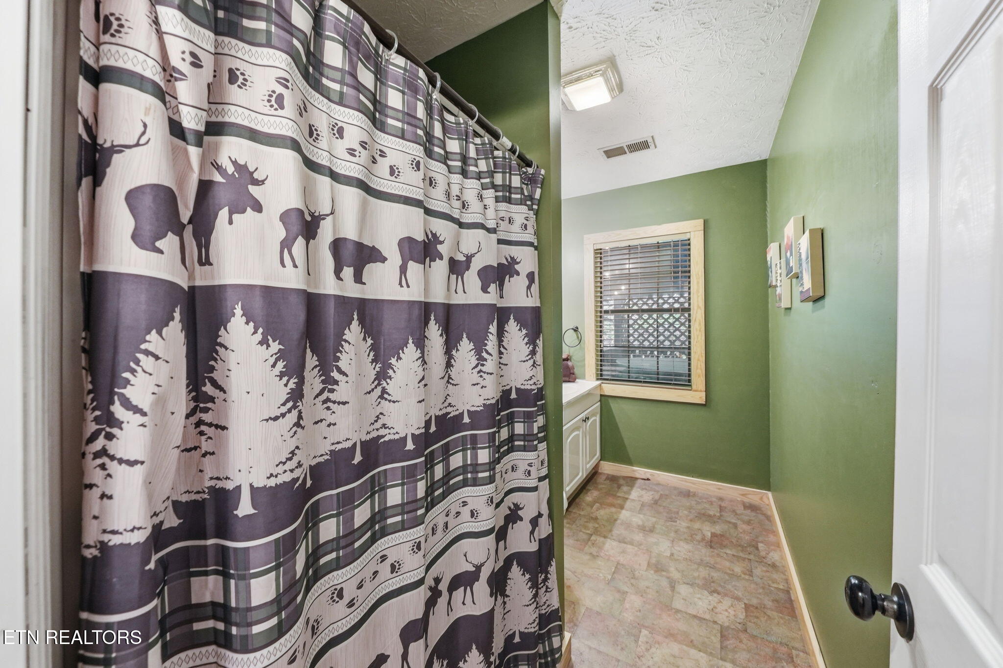 2202 Applewood Road Sevierville TN 37862