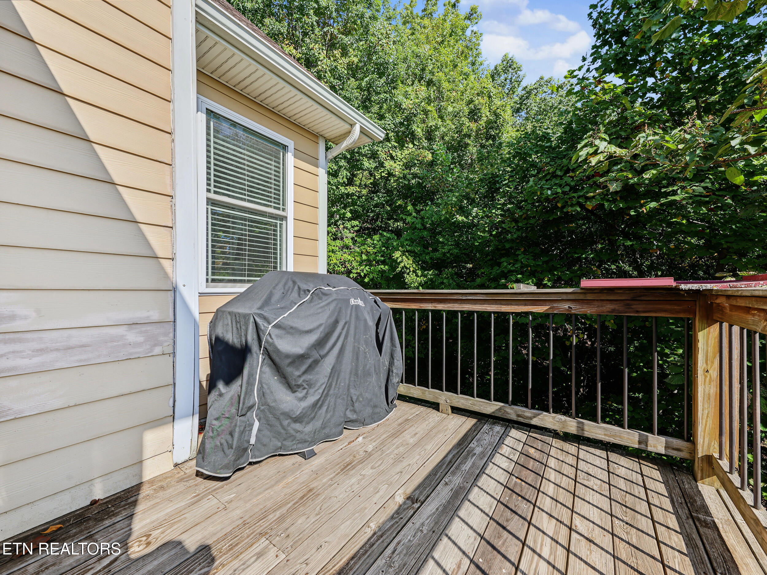 203 Nightshade Lane New Tazewell TN 37825