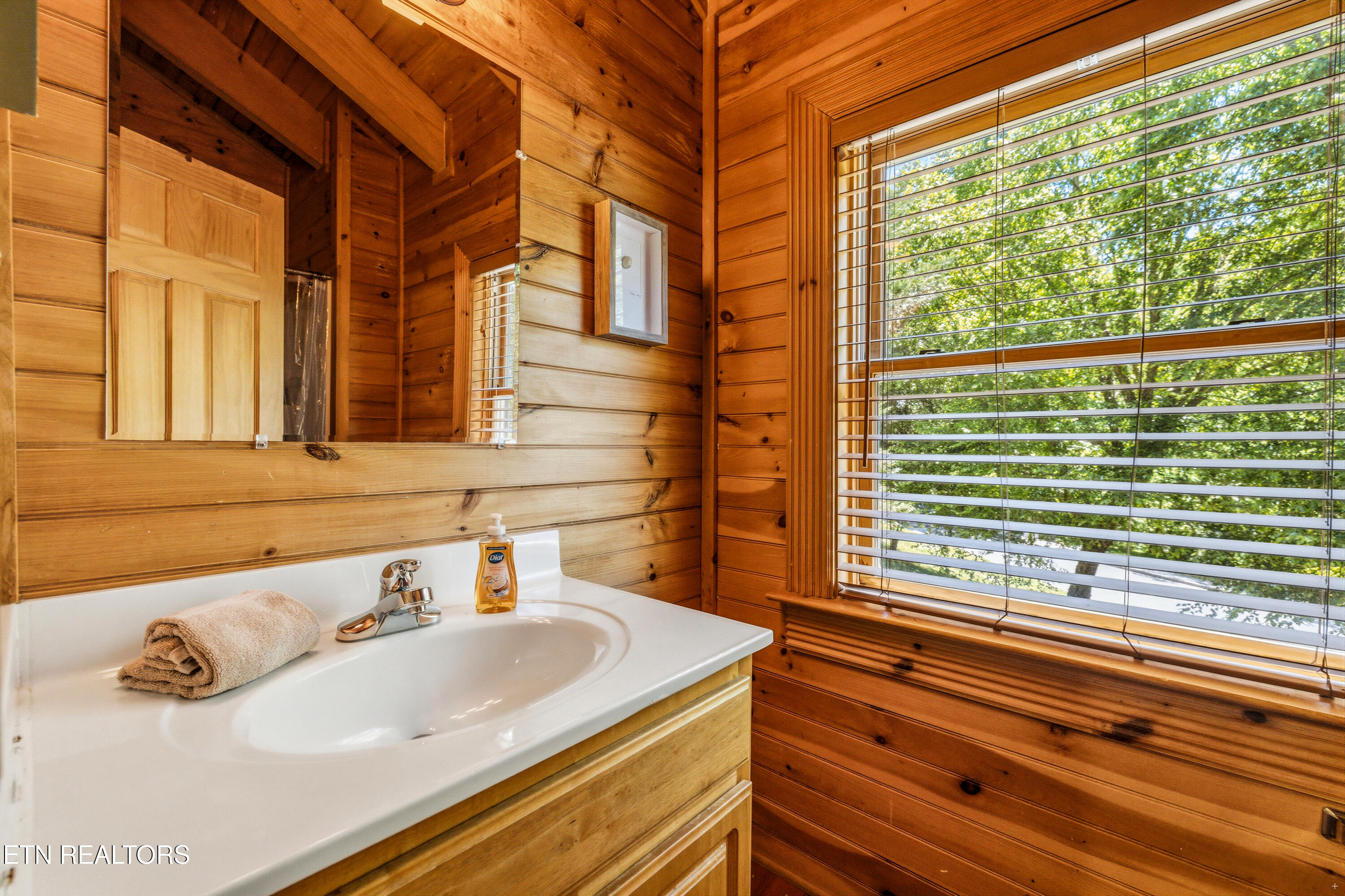 3124 Smoky Ridge Way Sevierville TN 37862
