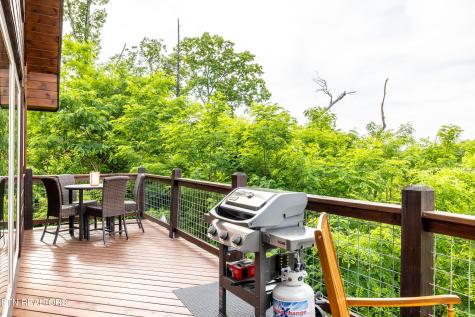 1219 Hemlock Drive Gatlinburg TN 37738