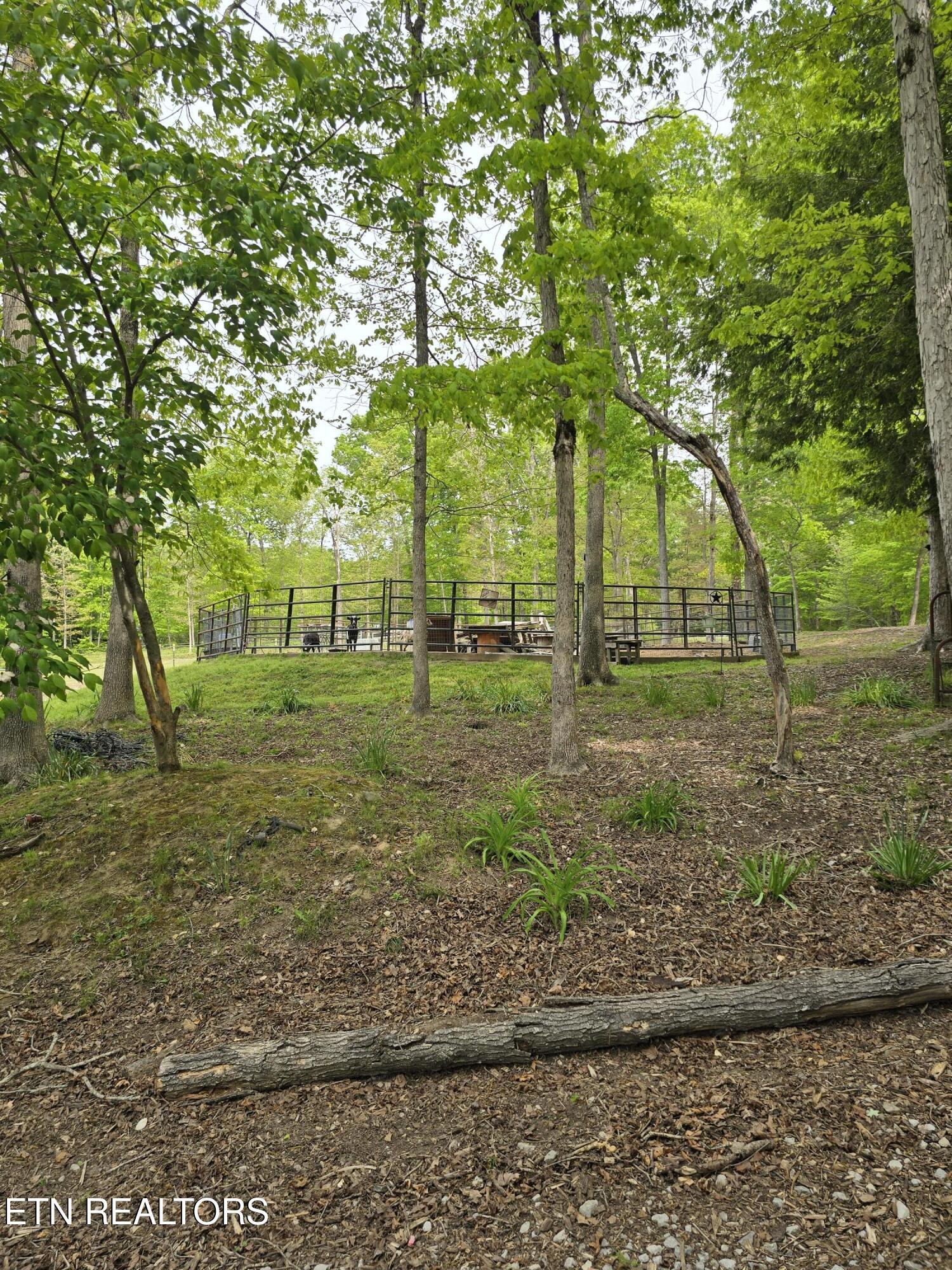 270 Maggie Valley Drive Jamestown TN 38556