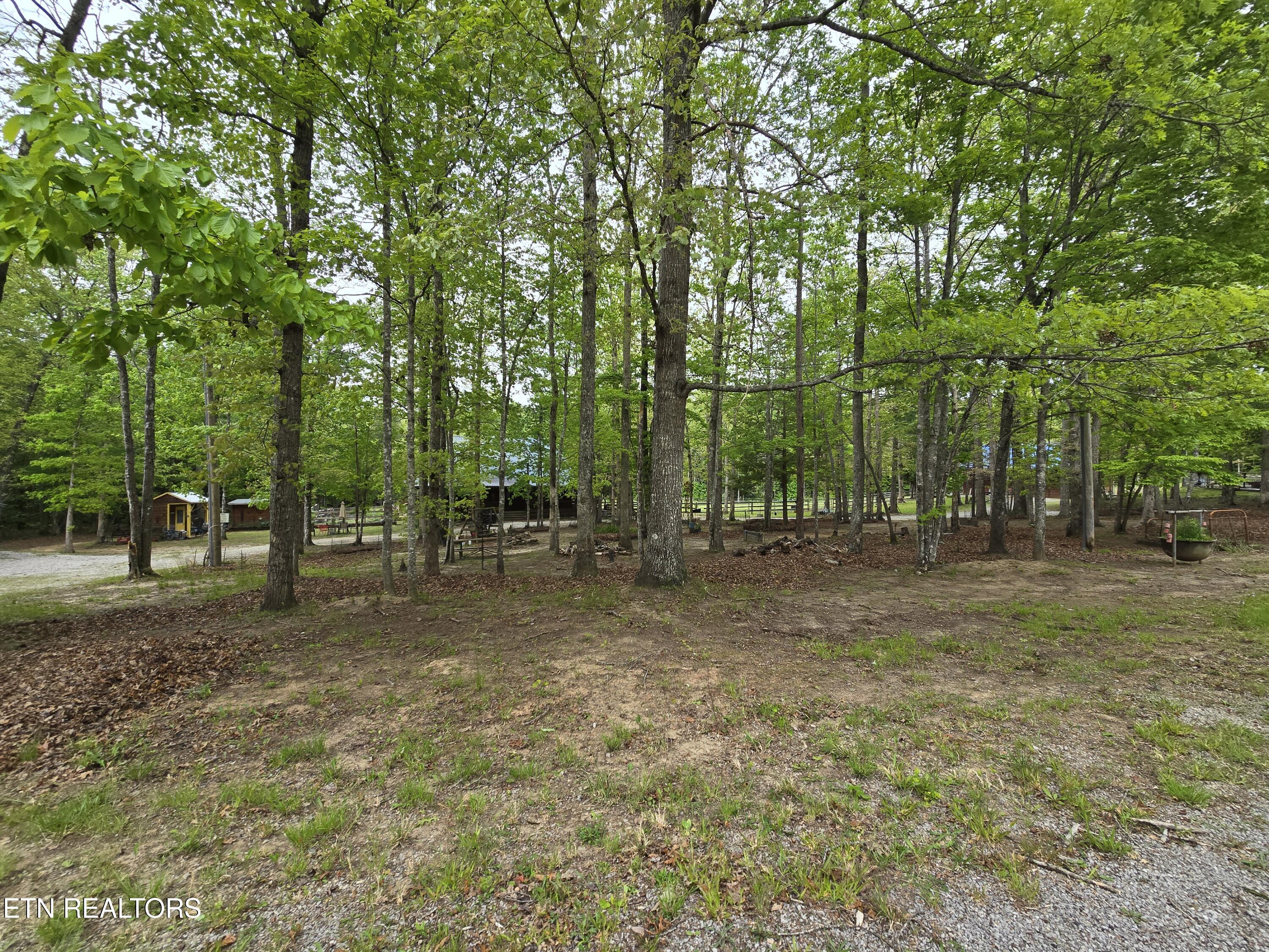 270 Maggie Valley Drive Jamestown TN 38556