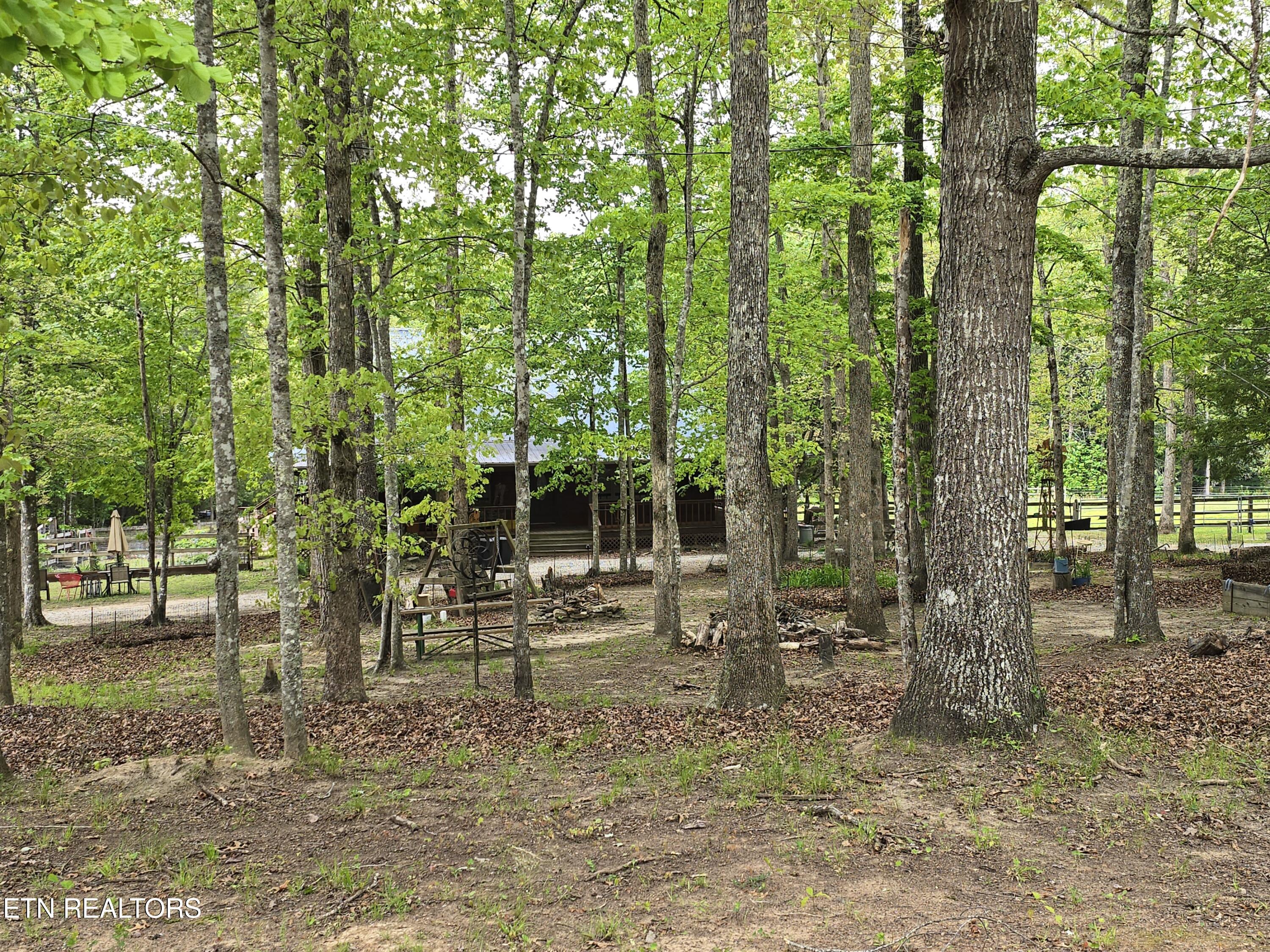 270 Maggie Valley Drive Jamestown TN 38556