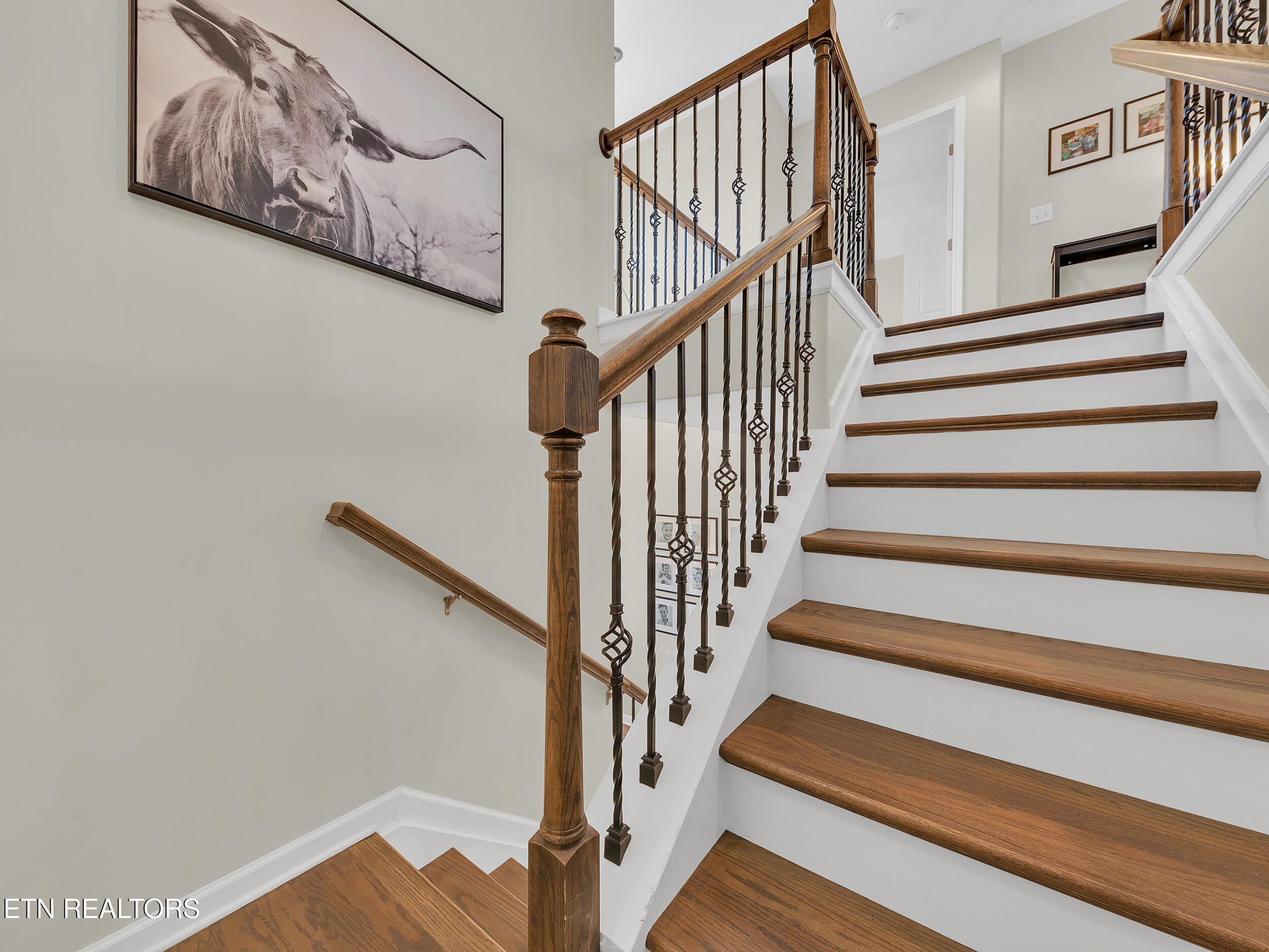 1307 Mary Katherine Drive Maryville TN 37804