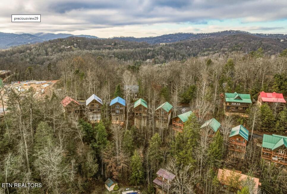 1781 Mountain Shadows Way Gatlinburg TN 37738