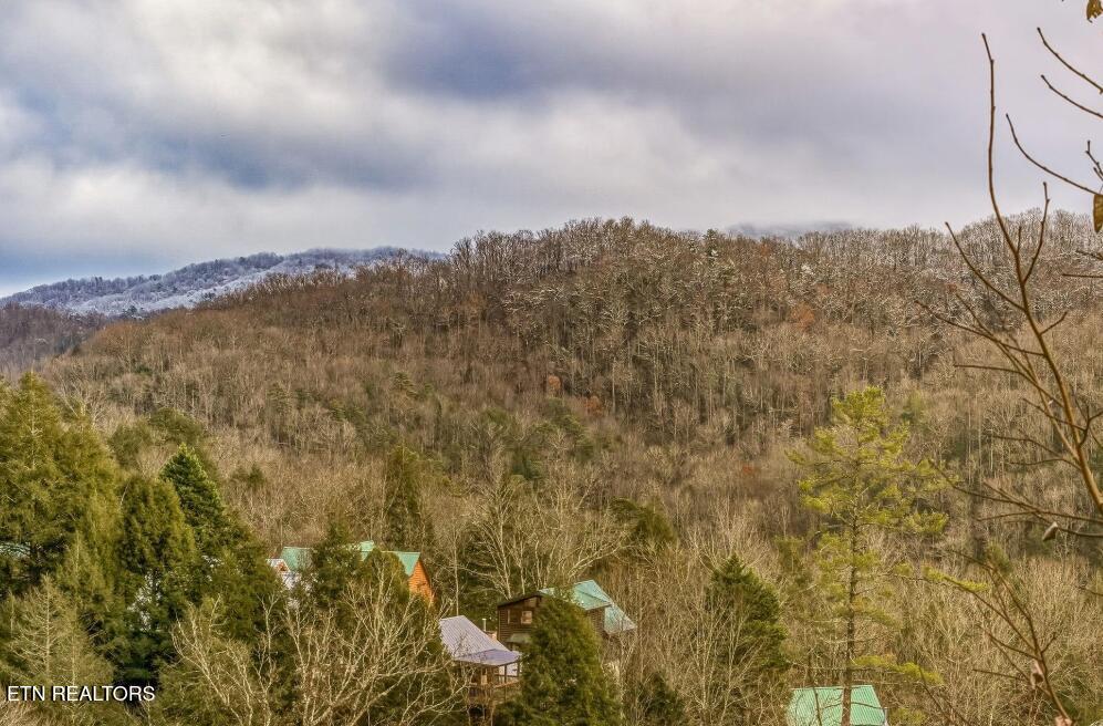 1781 Mountain Shadows Way Gatlinburg TN 37738