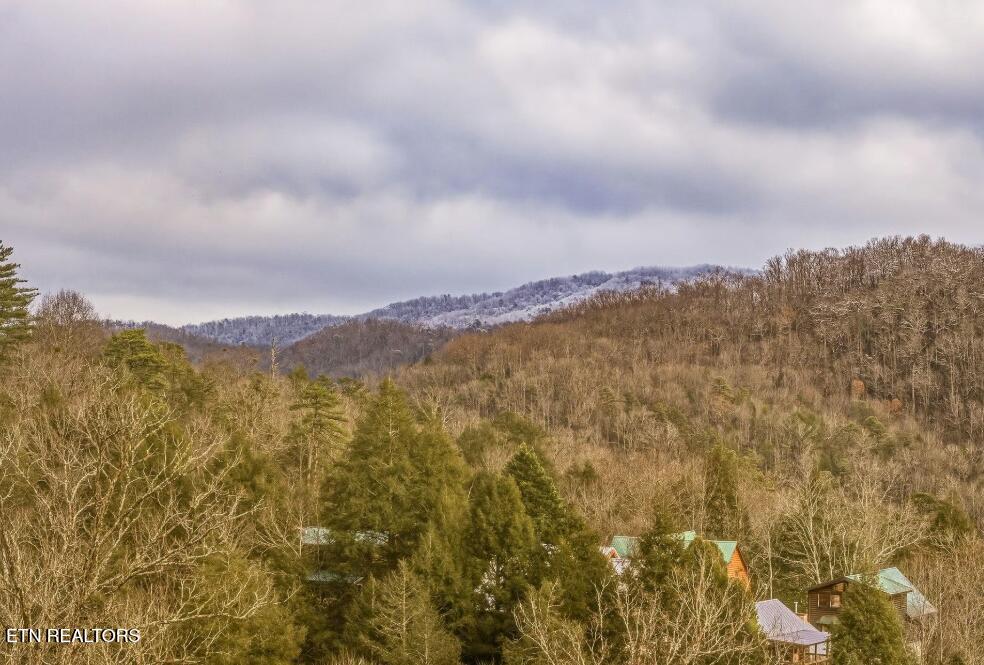 1781 Mountain Shadows Way Gatlinburg TN 37738