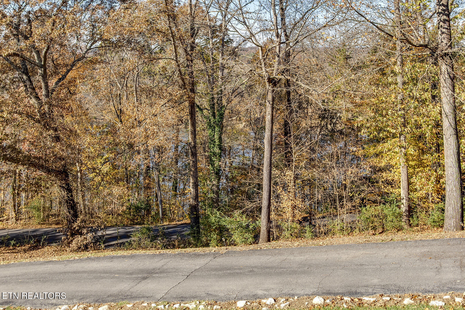 417 River Road Loudon TN 37774