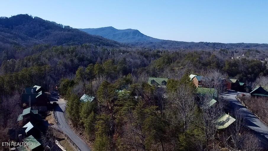 765 Chickasaw Gap Way Pigeon Forge TN 37863