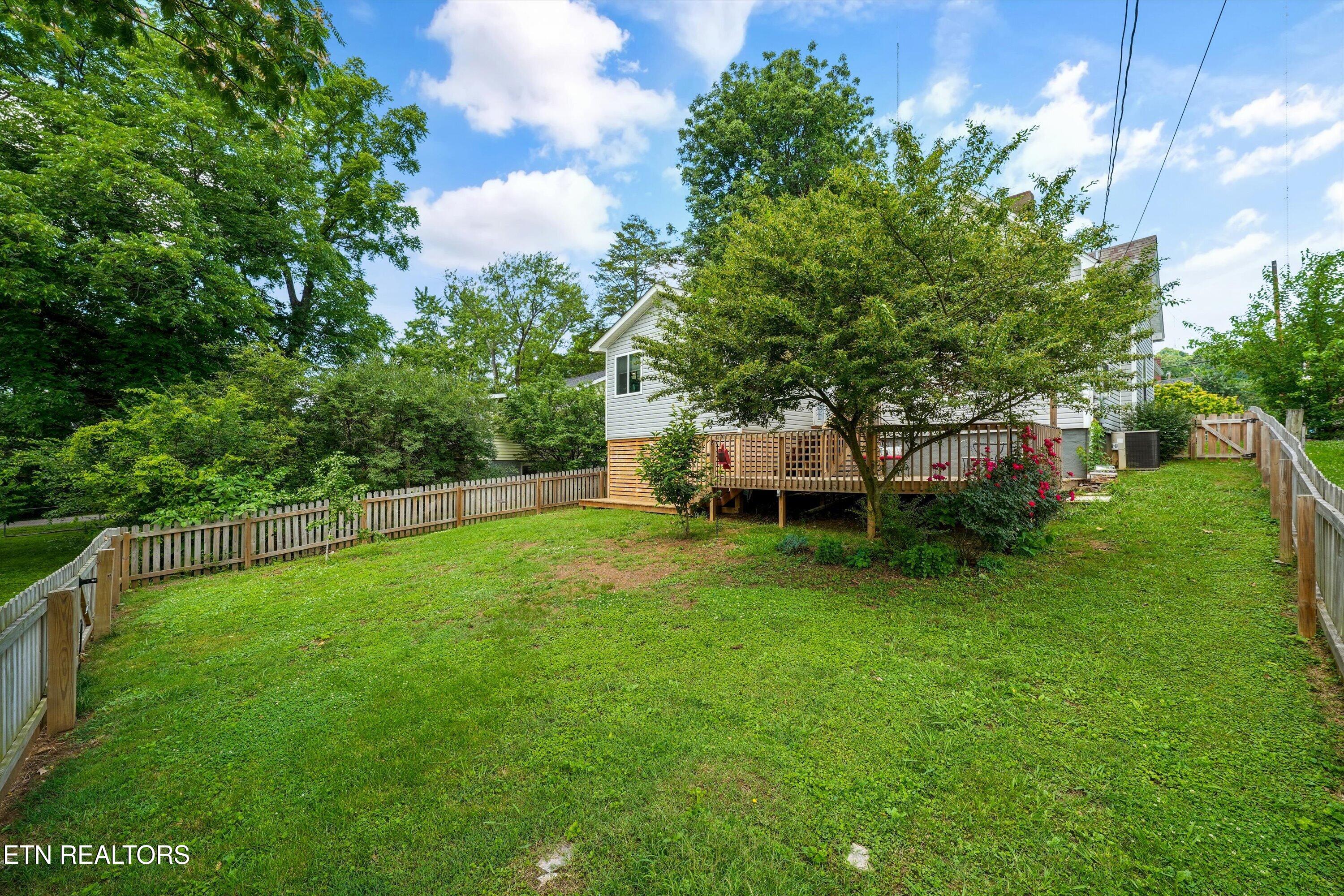 508 Cedar Avenue Knoxville TN 37917