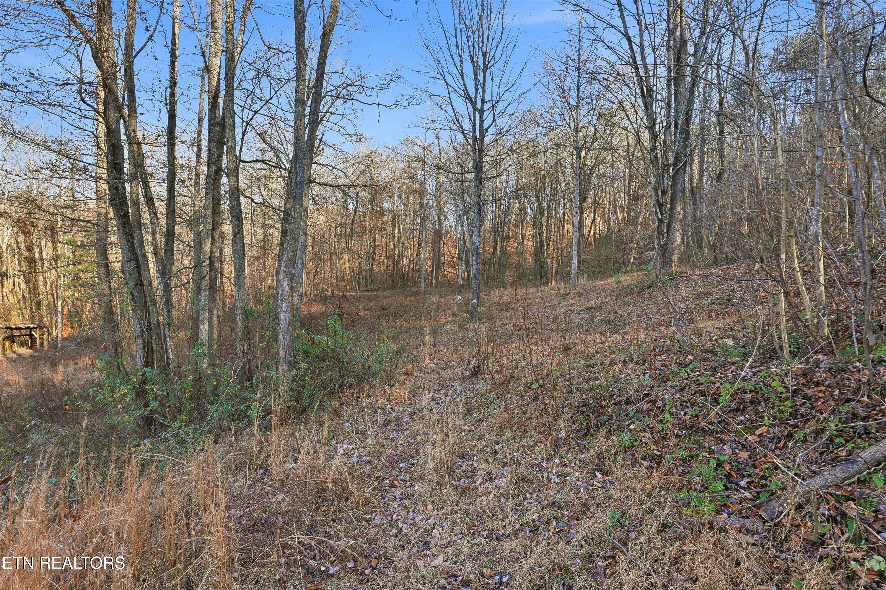 574 Peach Orchard Road Andersonville TN 37705