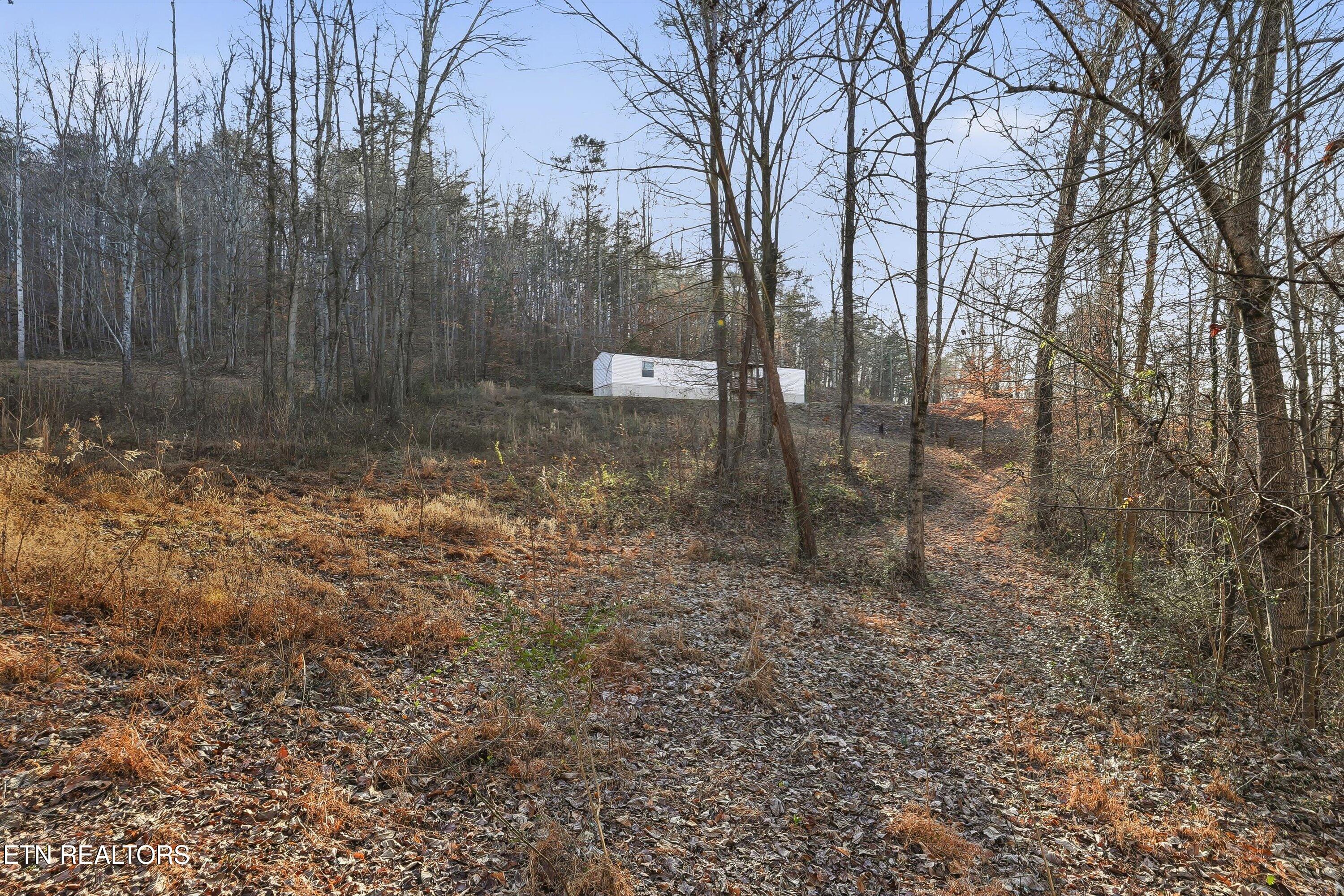 574 Peach Orchard Road Andersonville TN 37705