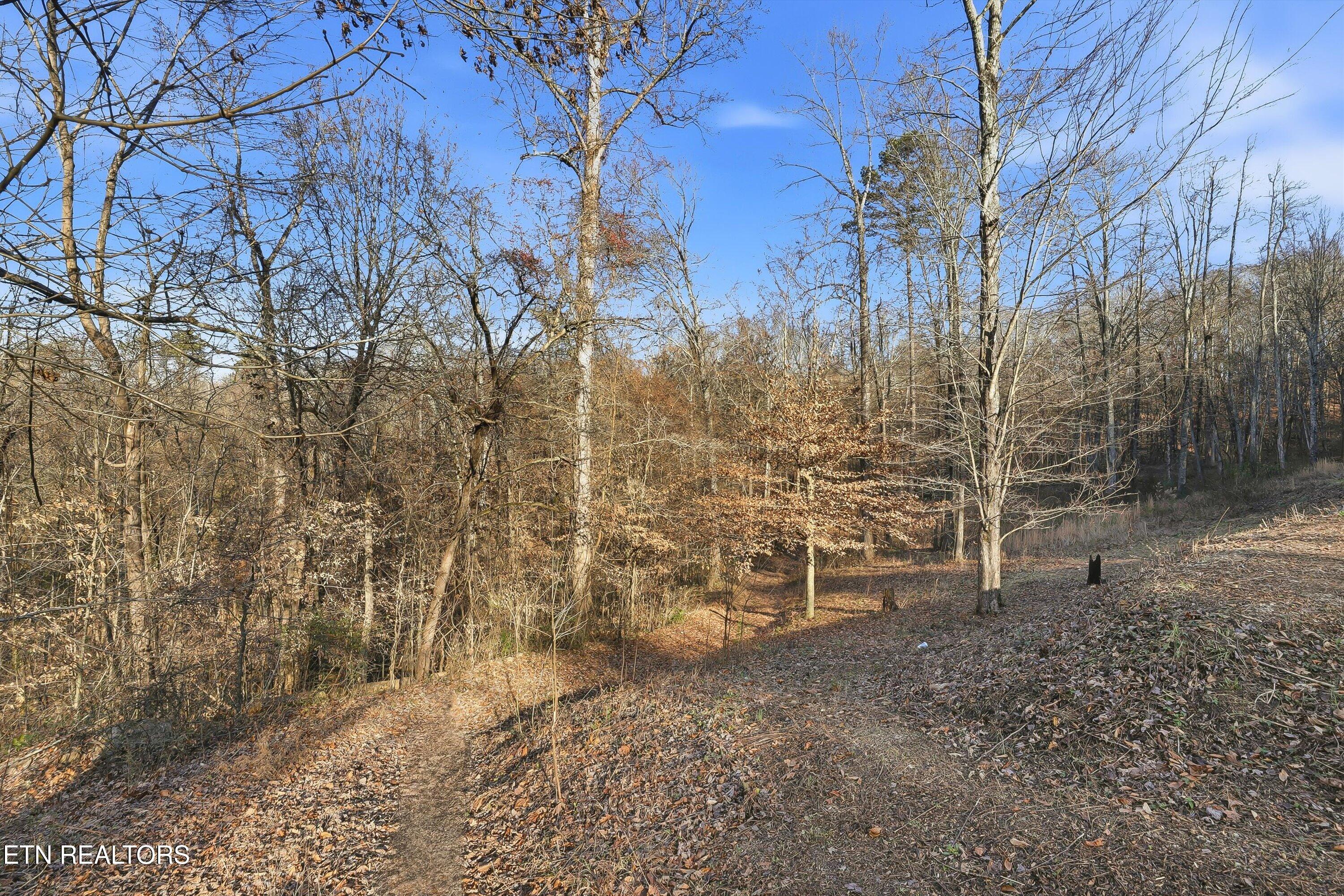 574 Peach Orchard Road Andersonville TN 37705