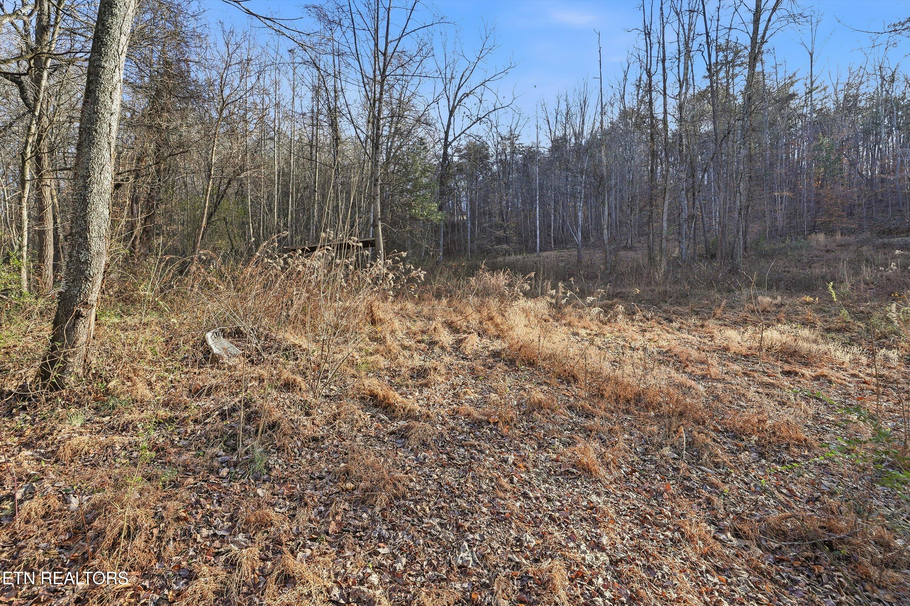 574 Peach Orchard Road Andersonville TN 37705