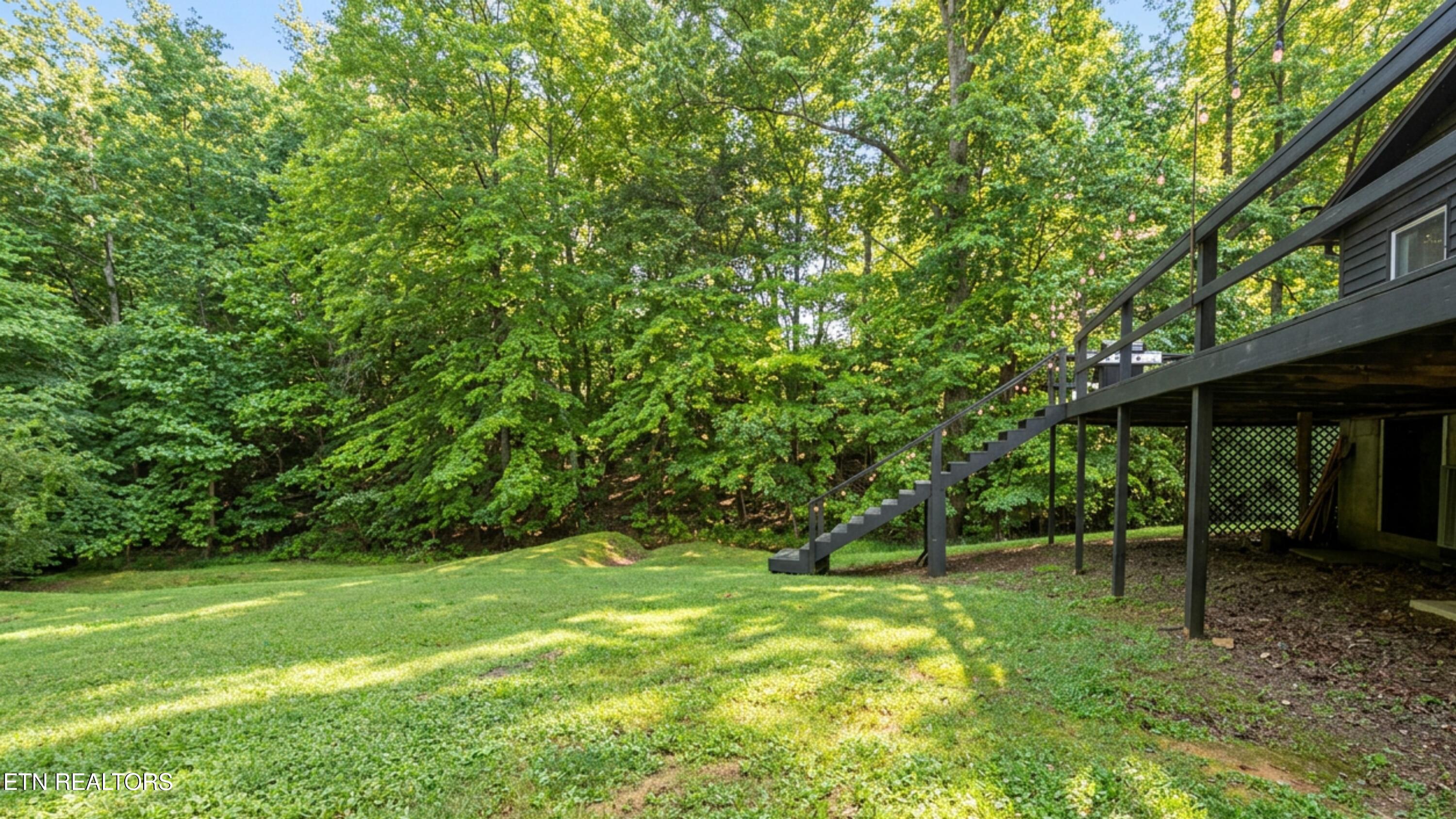 204 Black Fox Harbor Road Washburn TN 37888