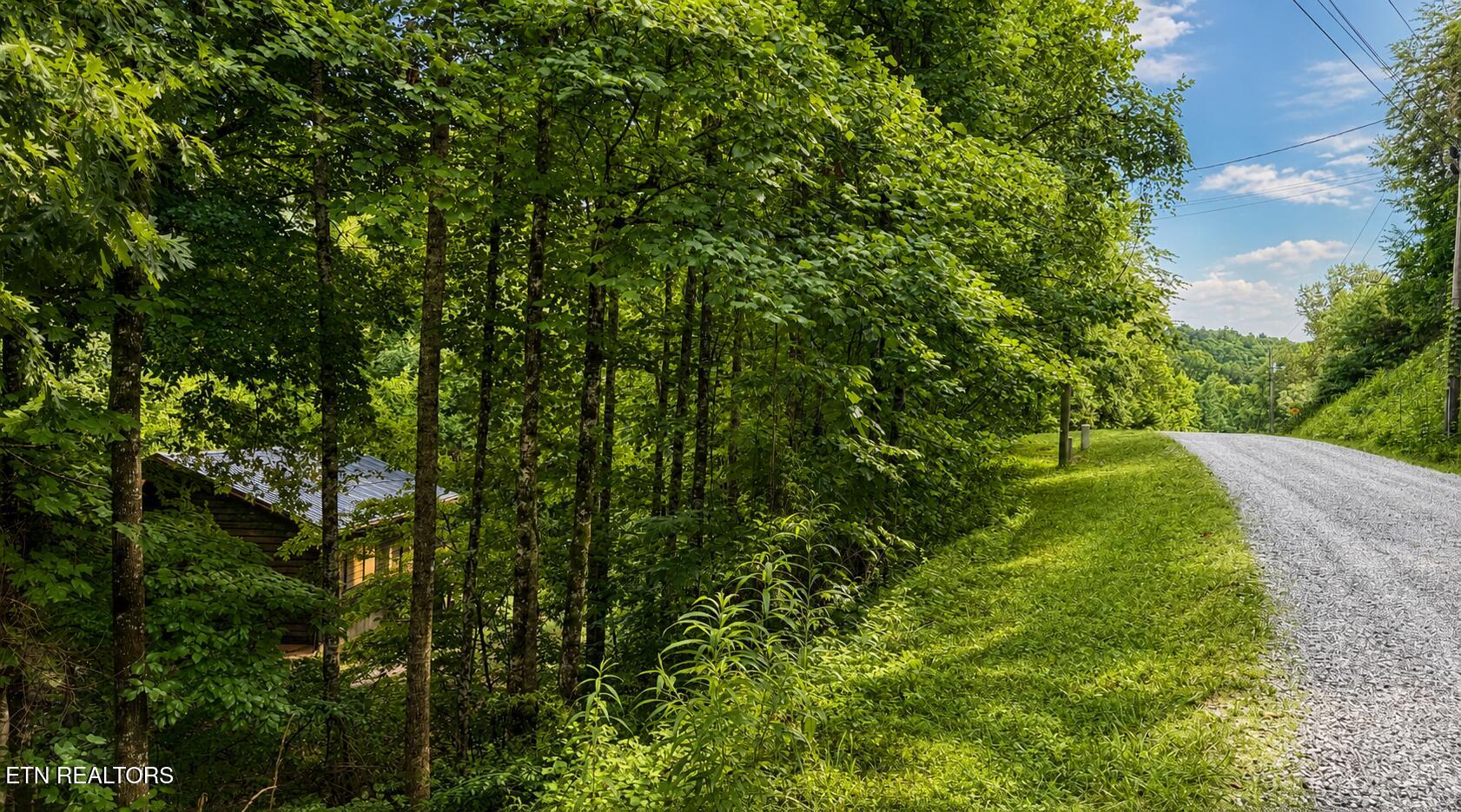 204 Black Fox Harbor Road Washburn TN 37888