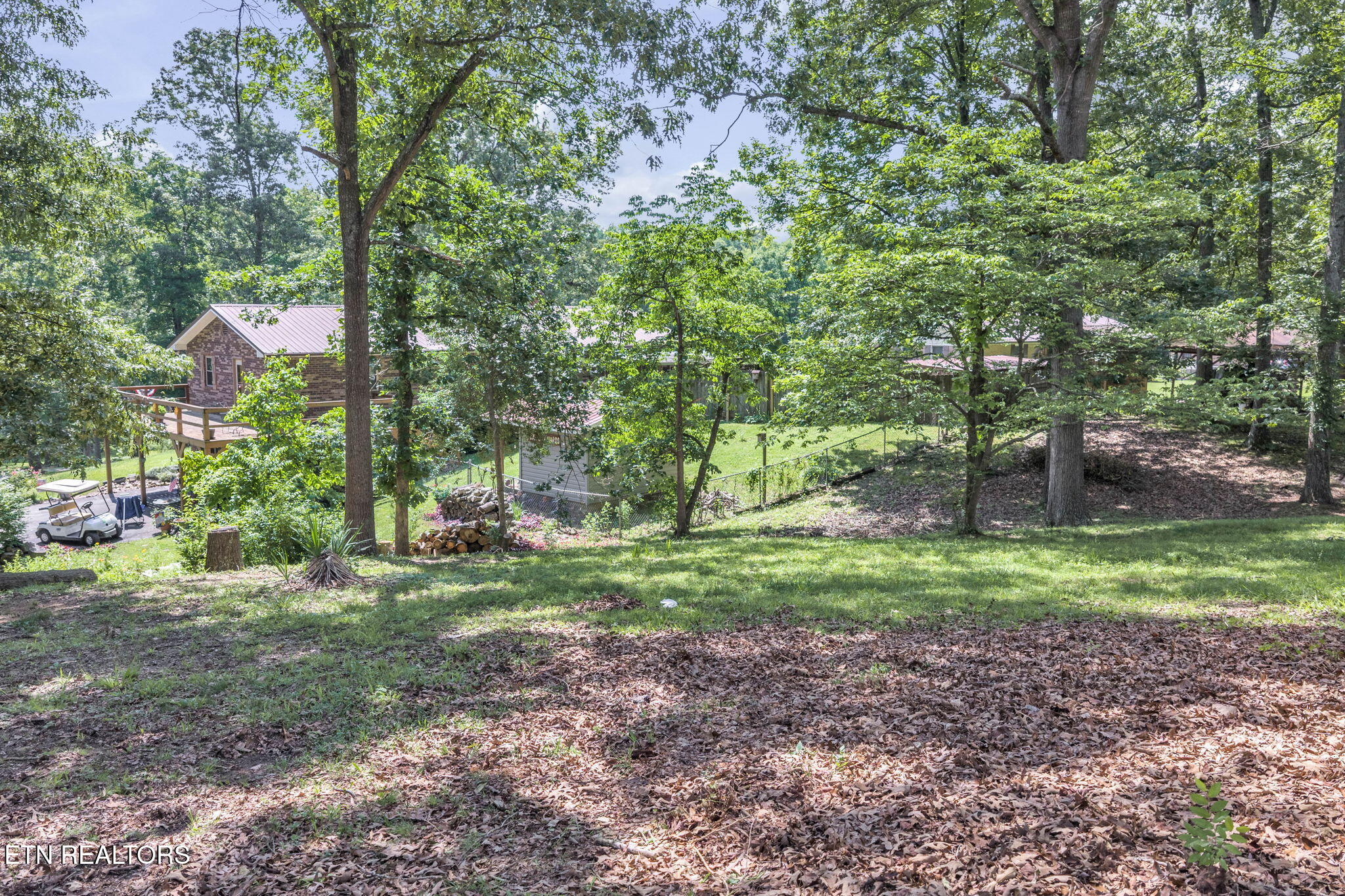 322 Idlewild Drive White Pine TN 37890