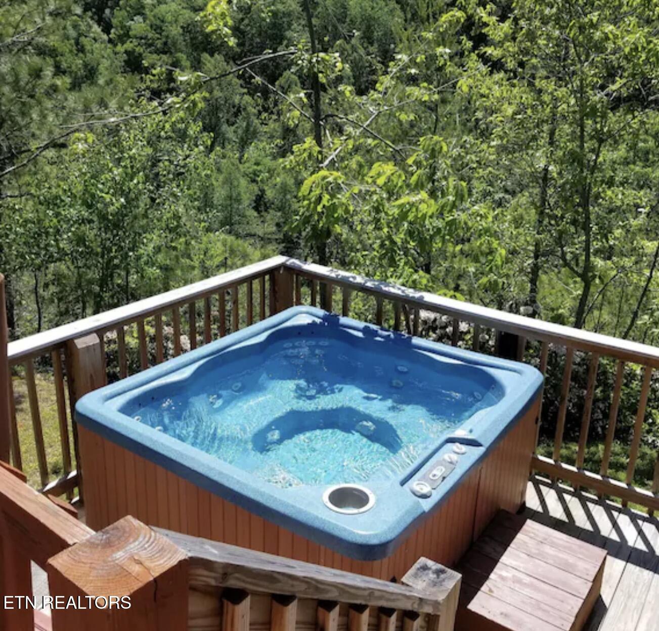 909 Fawn Hollow Trail Townsend TN 37882