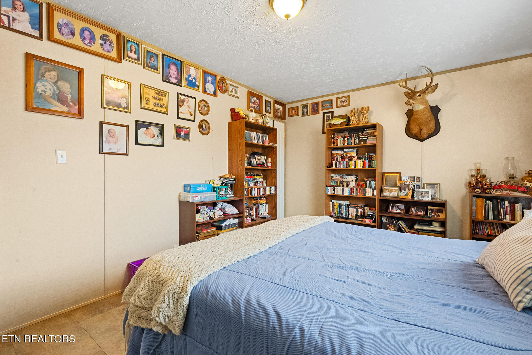 2938 Kathy Drive Kodak TN 37764